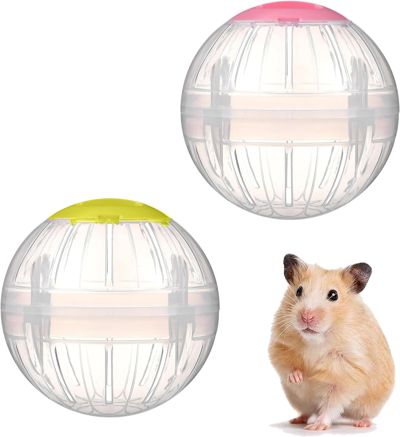 CHEUNGHAO 2 Pieces Hamster Exercise Ball, 5.7 Inch Hamster Running Ball Transparent Plastic Hamster Ball Wheel for Dwarf Hamsters Small Pets to Reduce Boredom and Increase Activity image number 2