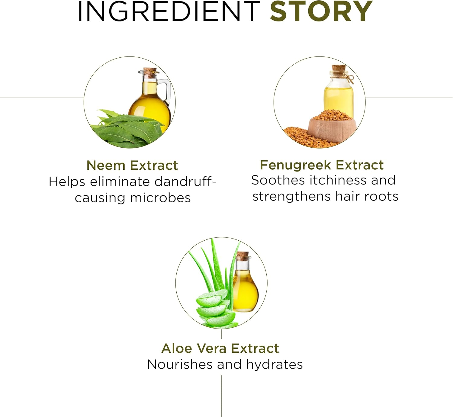 Oshea Herbals Neemclean anti Dandruff Shampoo-300Ml image number 2