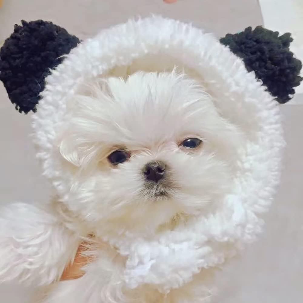 Cat Hat Winter, Cat Hat Plush Cat Hat Adjustable Dog Hat for Cat Clothing Accessories, Cat Accessories (Black White) image number 2