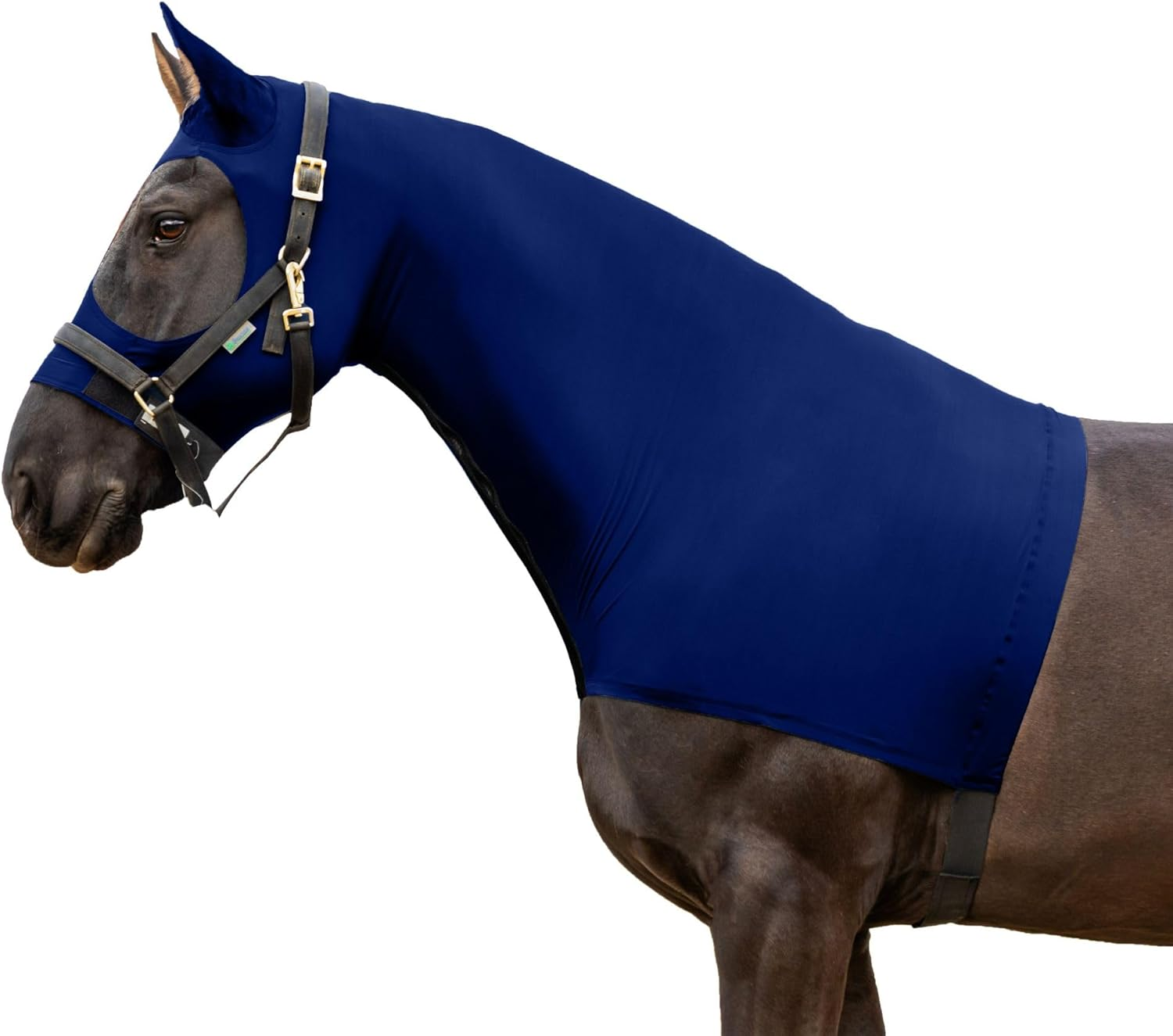 Resistance Horse Hood Slinky Lycra Zippered Mane Braid Shoulder Guard - Horse Sleazy Slickers Care Sheet