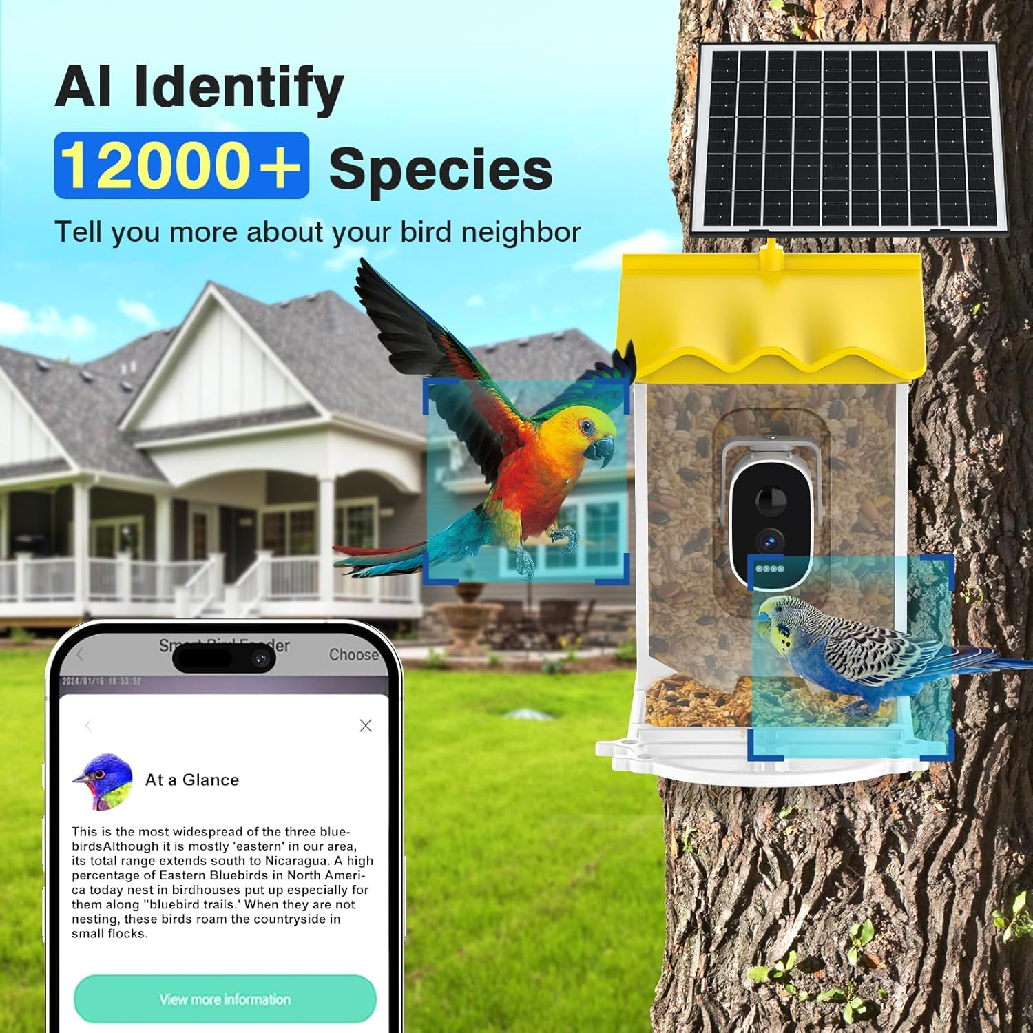 Advwin Smart Bird Feeder with Camera, AI Identify Species Bird Feeders for Outdoors, Solar Powered, 2K Live Video Auto Capture, Instant Notifications image number 6