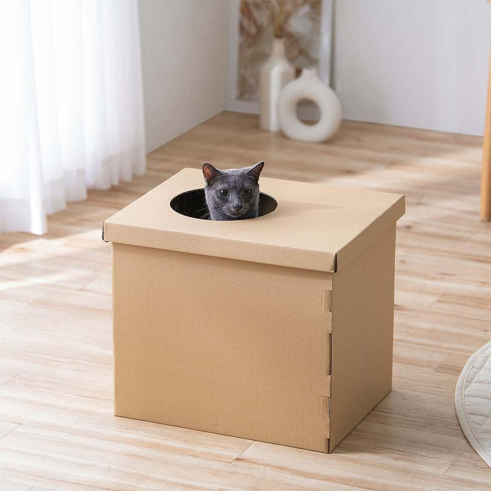 Iris Ohyama PUDNT-430 Cat Toilet, Cardboard Cat Toilet from Above image number 5