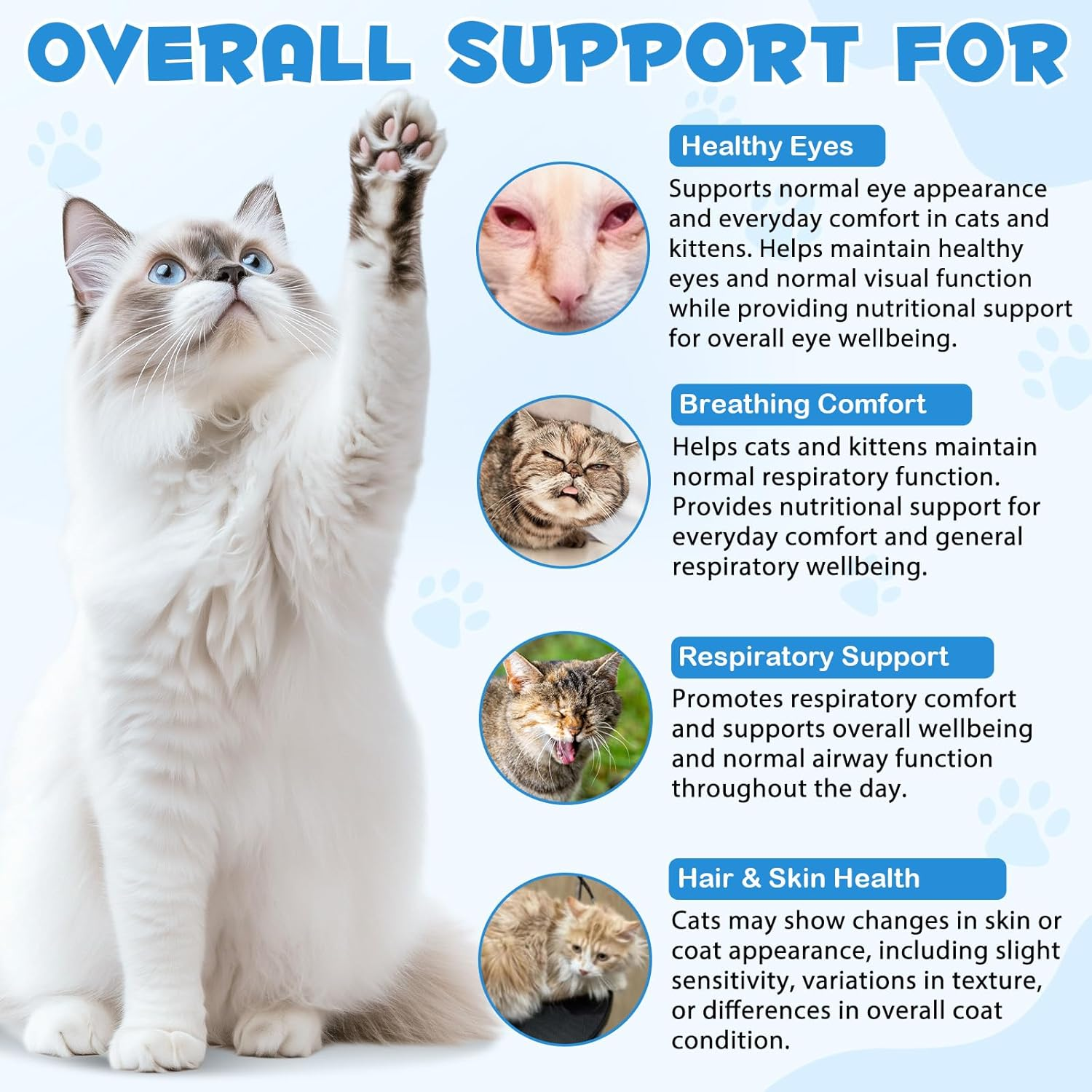 L-Lysine Supplement for Cats 60Ml | Daily Feline Wellbeing Support | Helps Maintain Normal Eye Moisture, Respiratory Comfort & Immune Health | Easy-To-Give Liquid Formula | Roast Chicken Flavour image number 2
