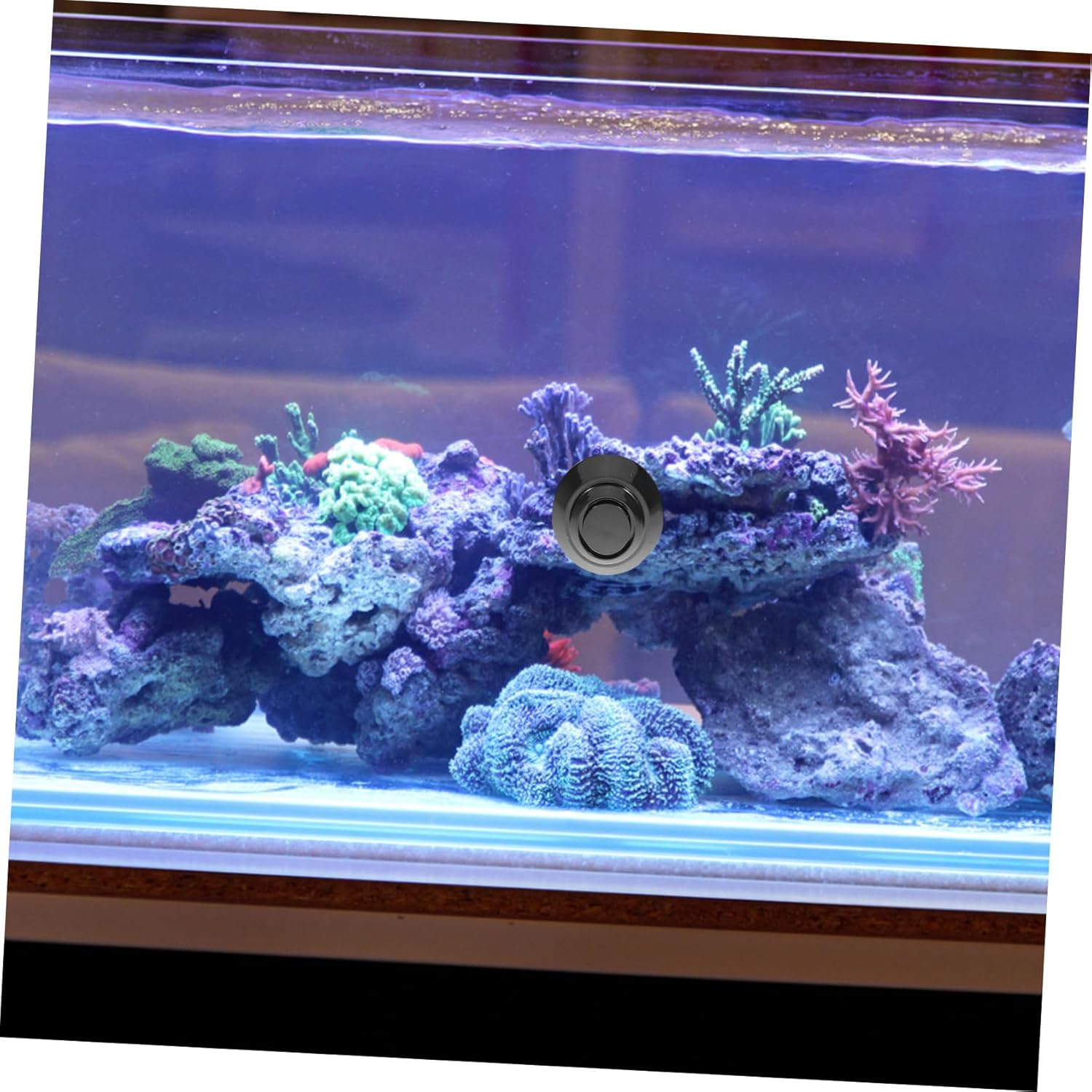 Yardwe 1Set Aquarium Magnetic Cleaning Brush Fish Tank Tool for Easy Algae Removal Scratch Design for Maintaining Healthy Aquatic Environments image number 6