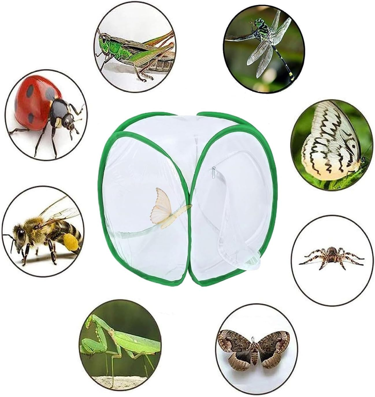 WADY Portable Insect Mesh Cage Small Butterfly Habitat & Caterpillar Enclosure with Carry Handle, Easy to Observe Bug Terrarium, Critter Cage (60X40X40Cm) - 30 X 30 X 30 Cm image number 6