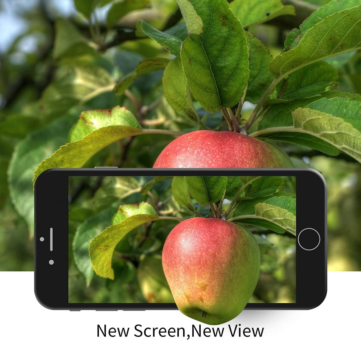 Brinonac Screen Replacement for Iphone 8/SE 2020 4.7 Inch LCD Digitizer Touch Screen LCD Replacement Screen Frame Assembly Full Set with Tools and Screen Protector (Black)