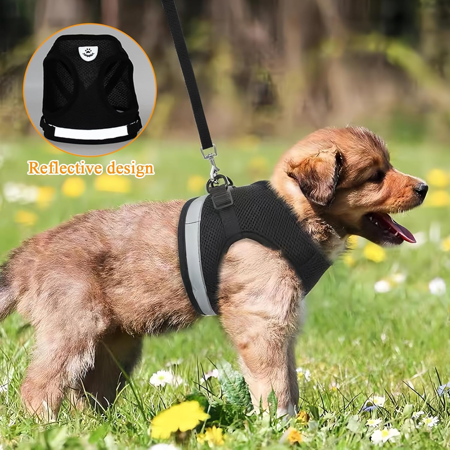 Dokeno Cat Harness with Lead Set, Cat Lead with Harness, Escape Proof for Cats, Soft Mesh Vests, Harnesses with Luminous Strips for Outdoor Training, Walking (XS) image number 1