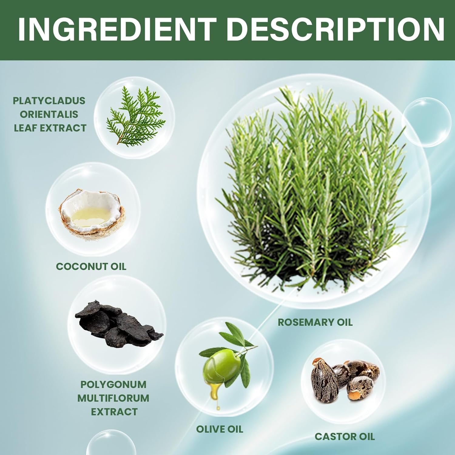 Rosemary Oil Capsules Hair Growth Treatment with Jojoba and Coconut Extract for Thicker Stronger Hair Non-Greasy Essential Oil for Scalp Care and Hair Loss Control Suitable for All Hair Types image number 1