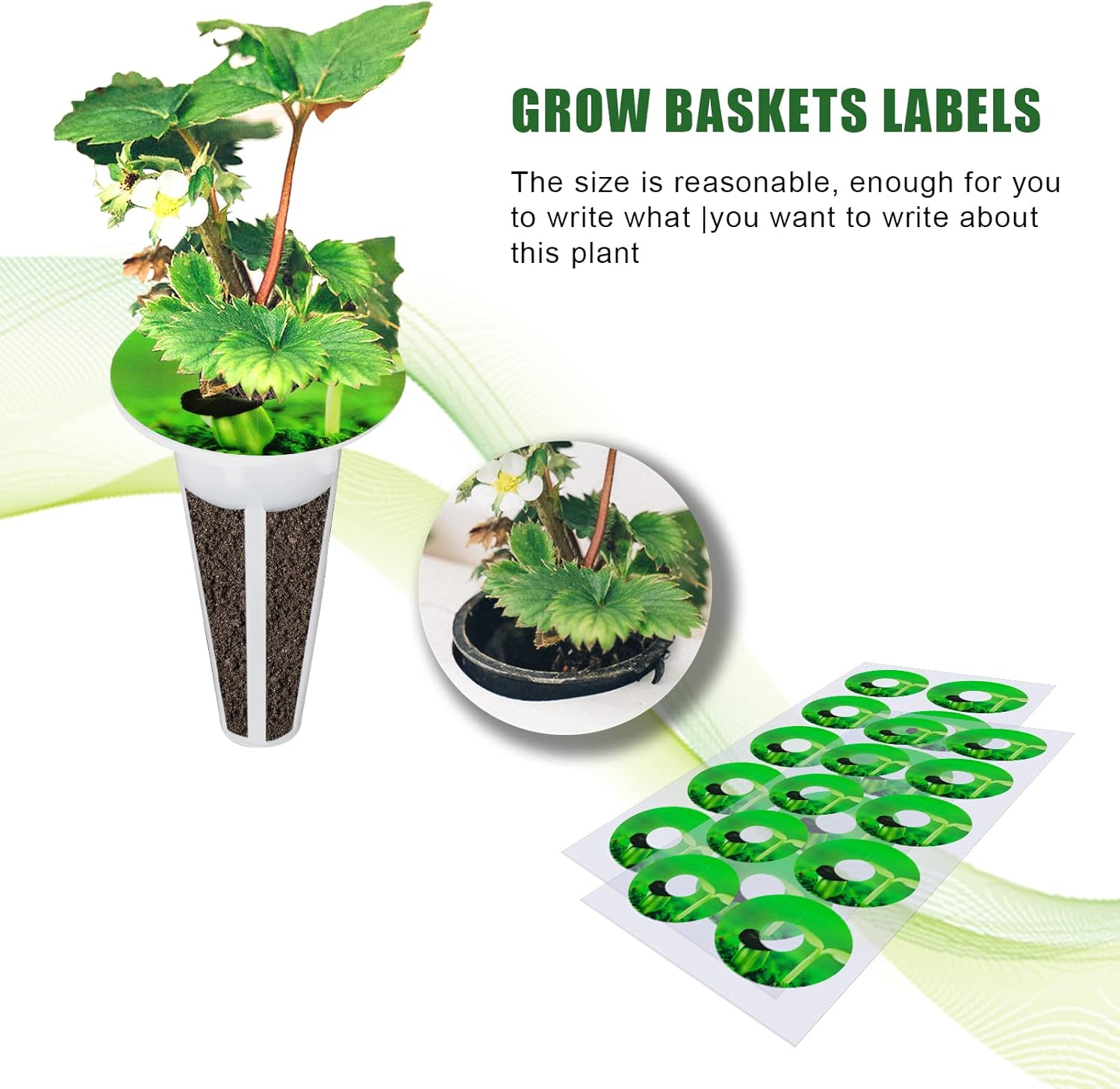 KINBOM 120Pcs Plant Grow Stickers, Grow Baskets Labels Hydroponic Plant Label for Seedlings Garden Pods Plant Labels for Labeling Plants and Understanding Plant Growth image number 6