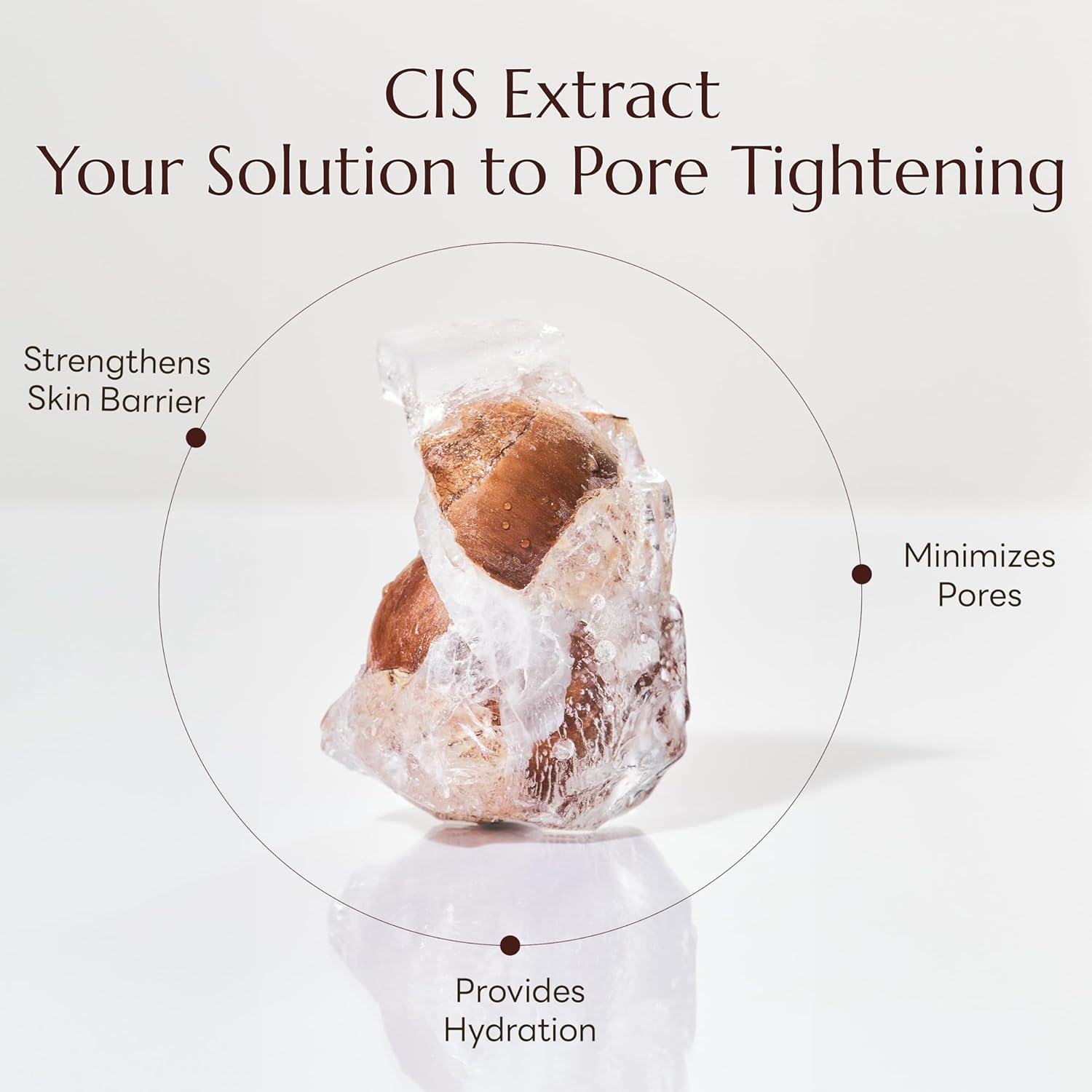 Molvany Castanea Crenata Inner Shell Pore Tightening Serum 50 Ml image number 3