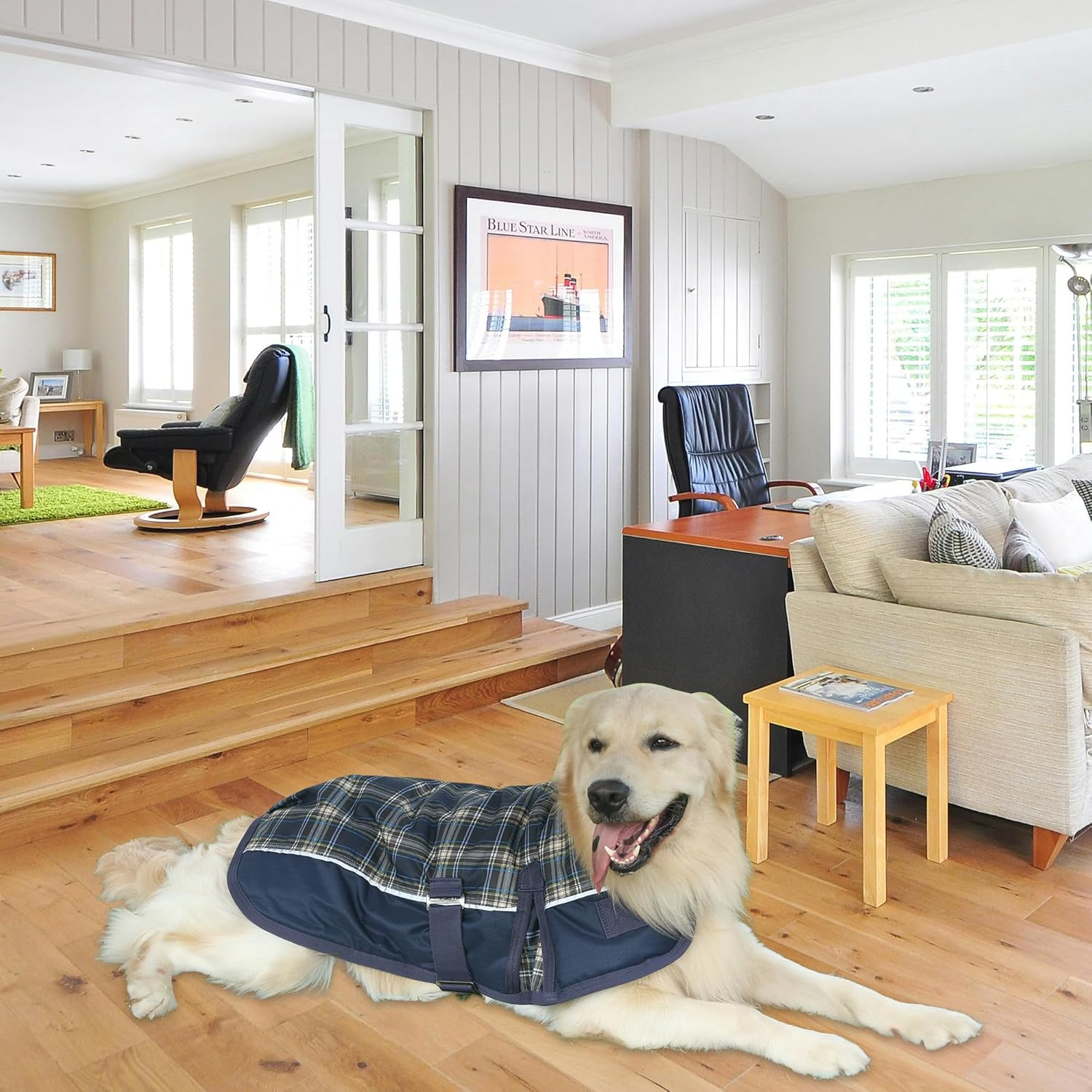 Warm Dog Winter Coat, Dog Cold Weather Coats Waterproof Windproof Reflective Dog Apparel Clothes Pet Jacket Padded Vest Outfit for Small Medium Large Dogs (Navy Blue, 50Cm) image number 6