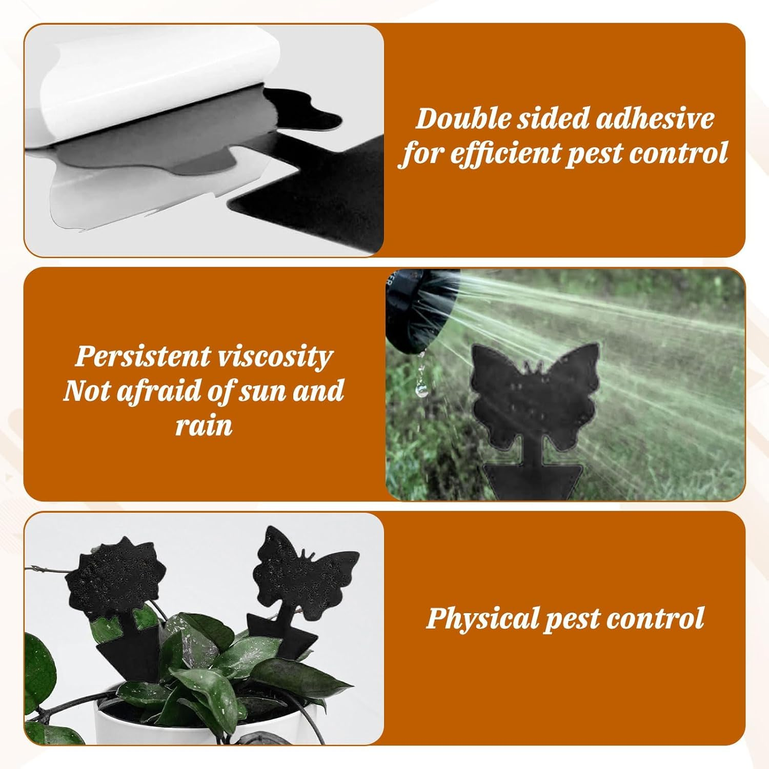 Fruit Fly Trap Indoor, Gnat Sticky Trap, 50 PCS Fruit Fly Traps for Whiteflies Mosquitos Fungus Aphids Leafminers, Gnat Trap for Indoor Outdoor Use Protect the Plant, Pest Control(Black) image number 5