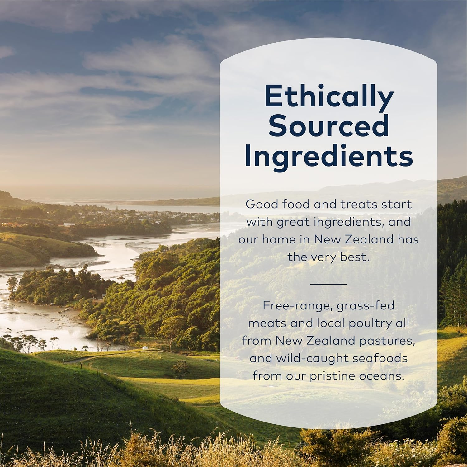 Ziwi Peak Dog Treat Lamb Trachea 60G