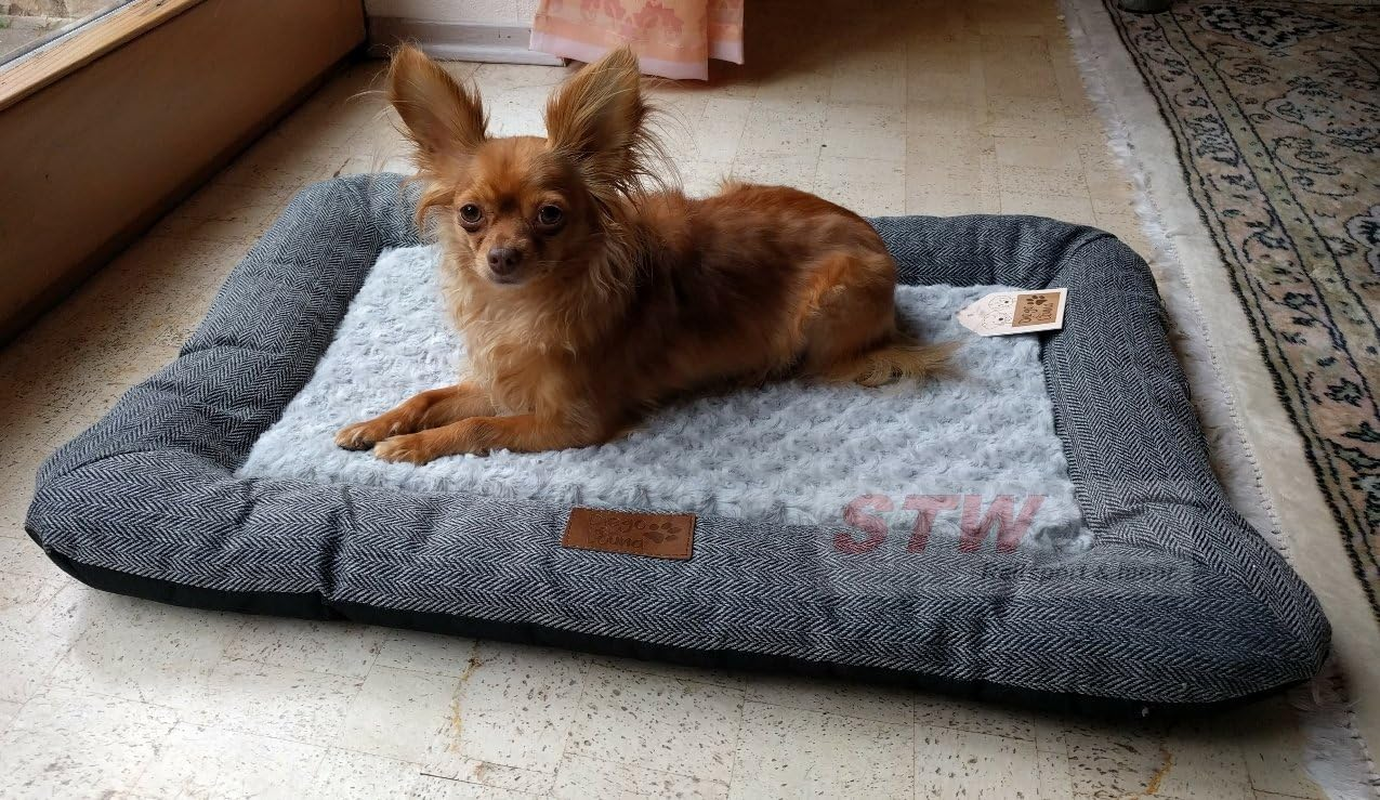 Ekkia/French Dog Fluffy Mat Cushion Diego & LOUANA Pad for Medium and Large Dogs (Dark Gray)