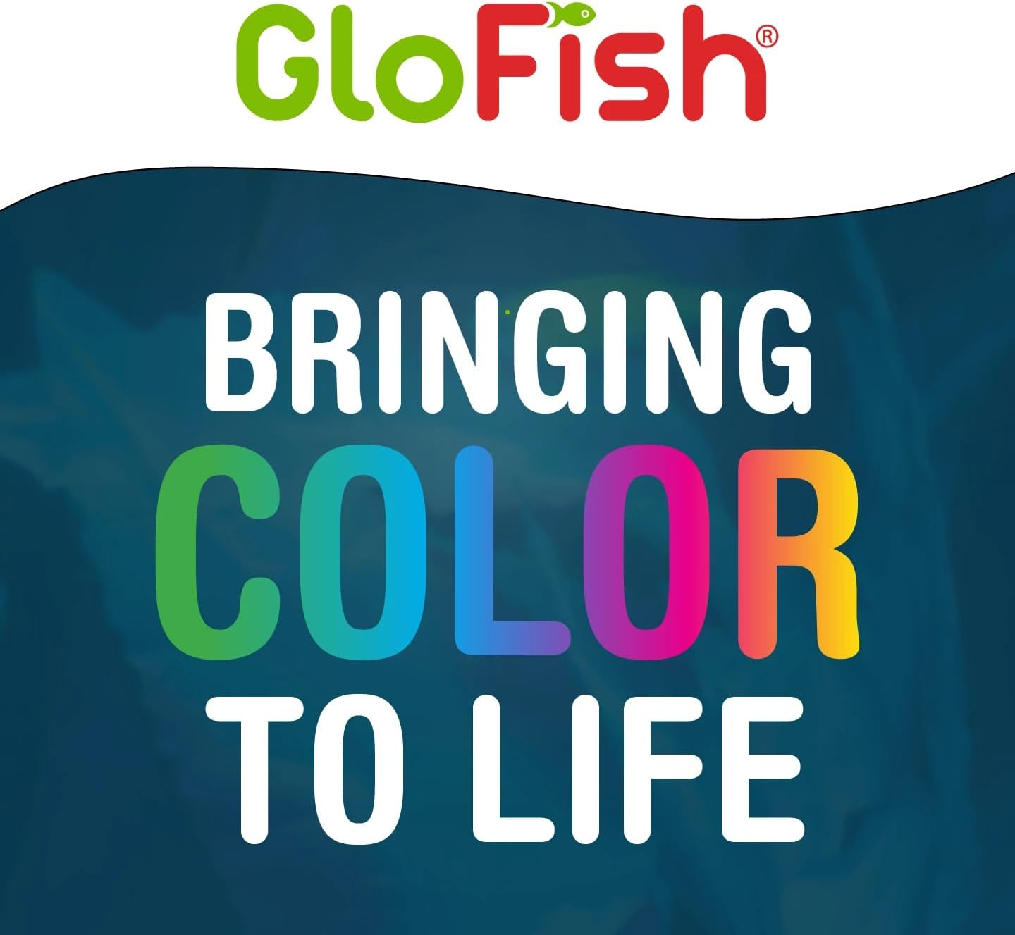 Glofish Aquarium Gravel 5 Pounds, White, Complements Glofish Tanks (29022) - White Frost image number 3