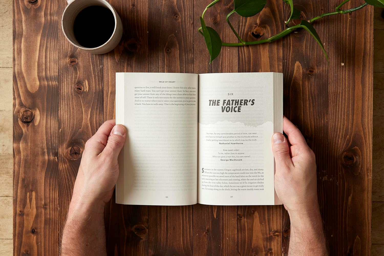 Wild at Heart Expanded Ed: Discovering the Secret of a Man'S Soul image number 2