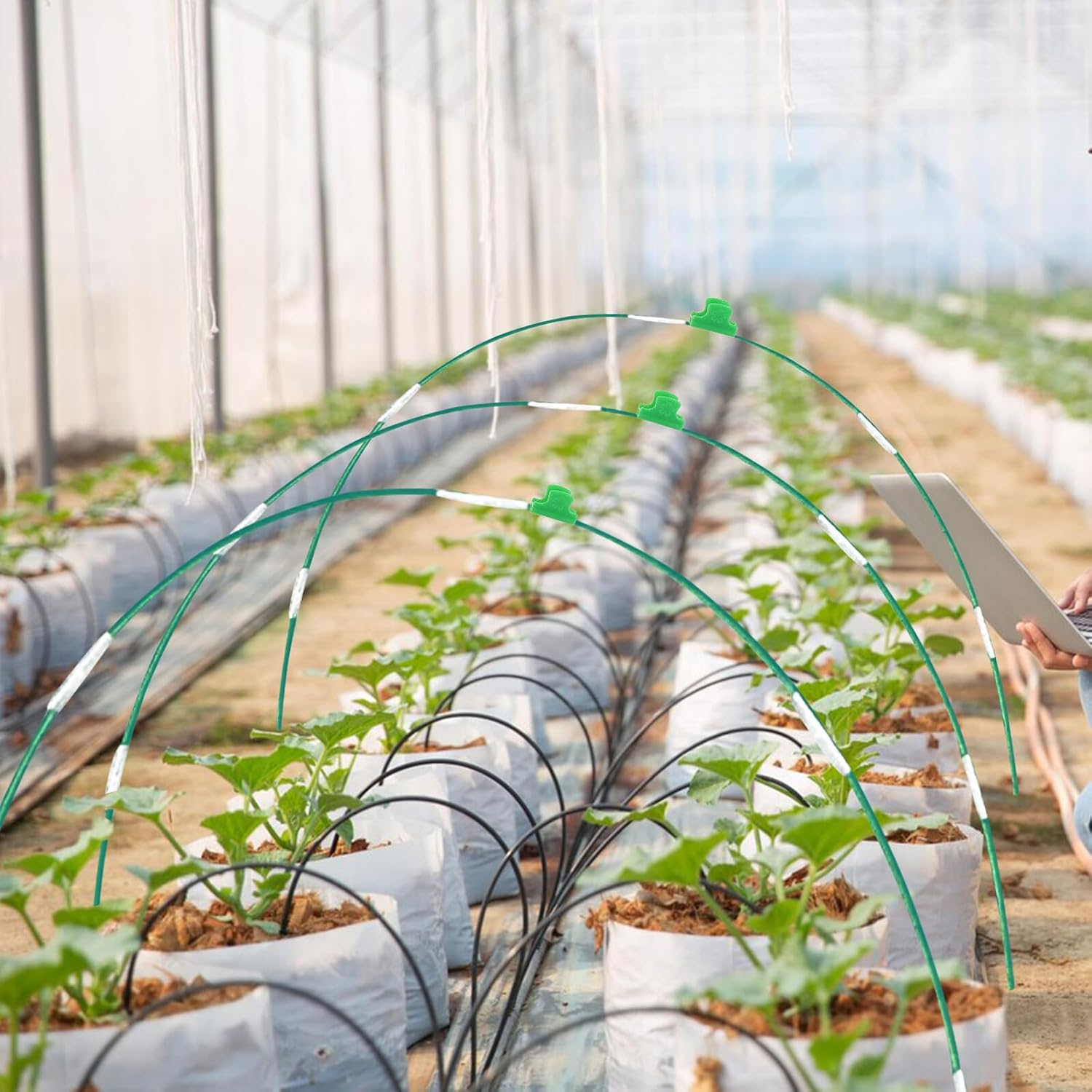 Gadpiparty Plastic-Coated Fiberglass Garden Hoops Kit Row Cover Netting for Bird and Insect Protection Easy-Install Garden Supplies for Fruit Vegetable Flower Beds and Greenhouse Grow Tunnel image number 3