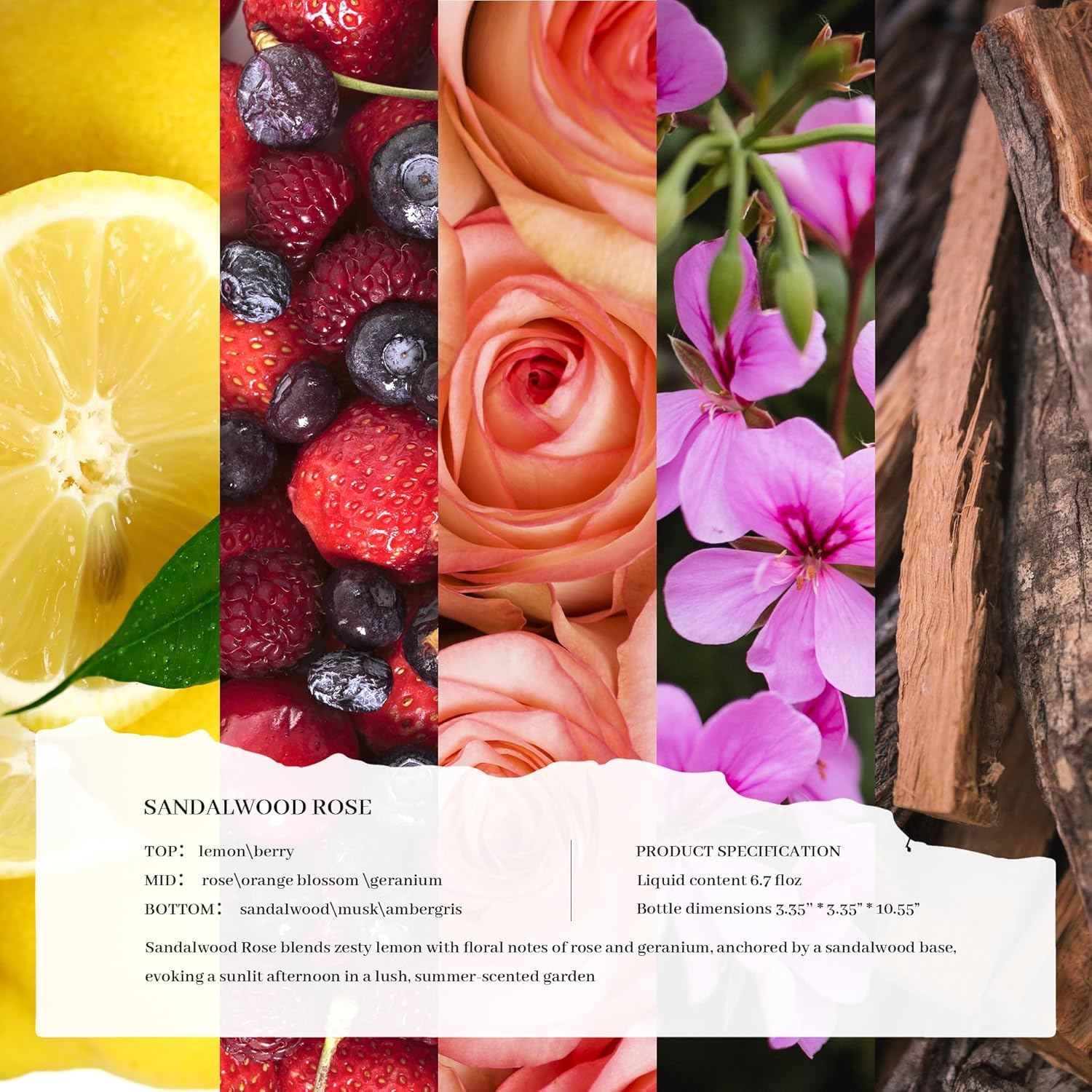 Cocorr&iacute;na Reed Diffuser Oil Refill Sandalwood Rose 200Ml with 8 Sticks - Premium Long-Lasting Floral Essential Oil, Home Fragrance for Bedroom, Bathroom Home Decor image number 2