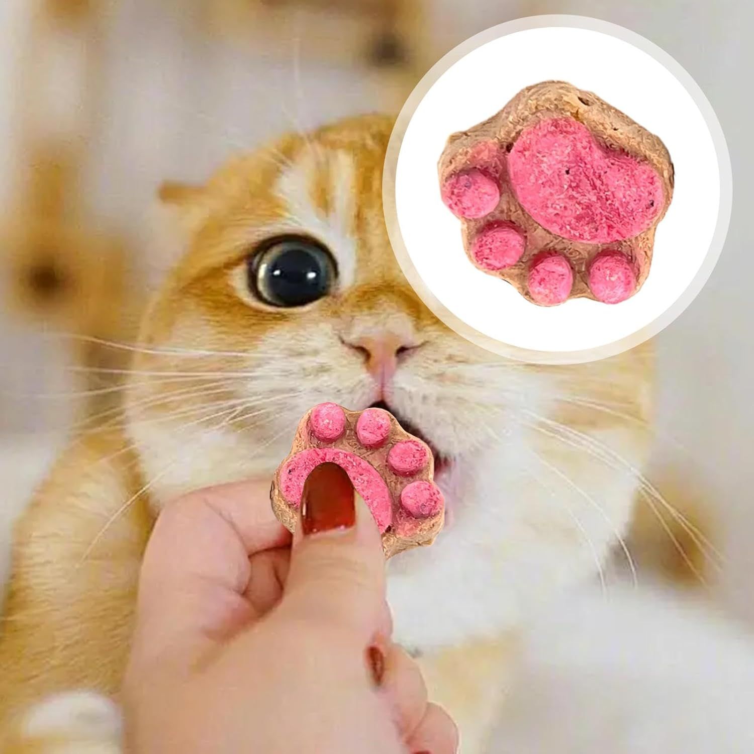 Cat Paw Snacks - Natural Healthy Cat Snacks Treats | Kittens Foods Treat | Snacks Paw Biscuits | Healthy Treats | Shape Food | Biscuits Dry for All Breeds image number 4