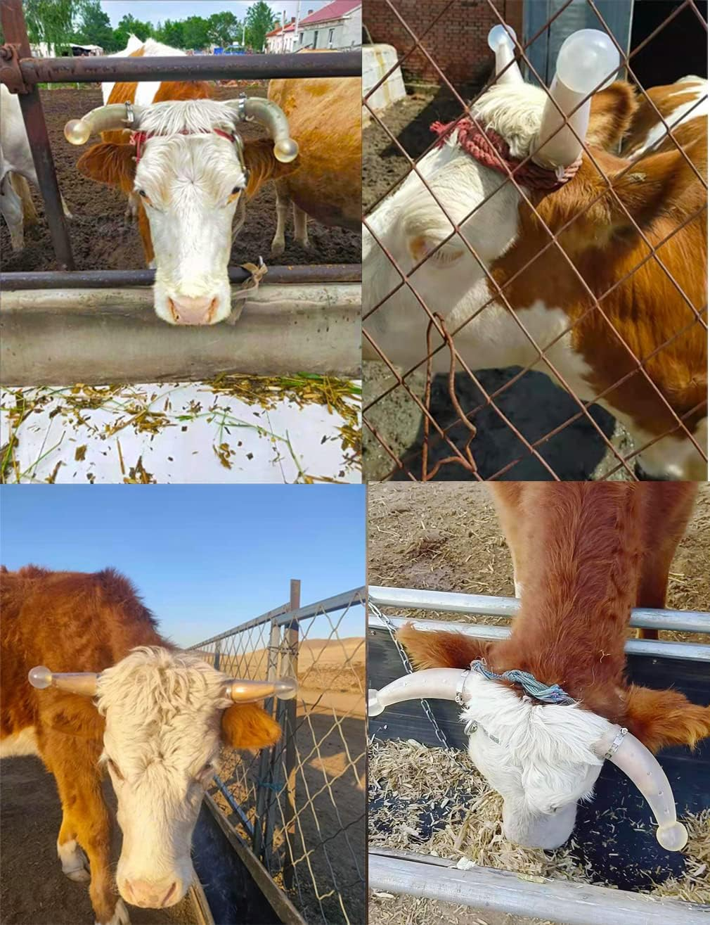 QIQIRO Small Size Silicone Goats Calf Cattle Bull Cow Horn Cover Anti-Fight Protective Cover Cow Horn Protector round Cornered With image number 2