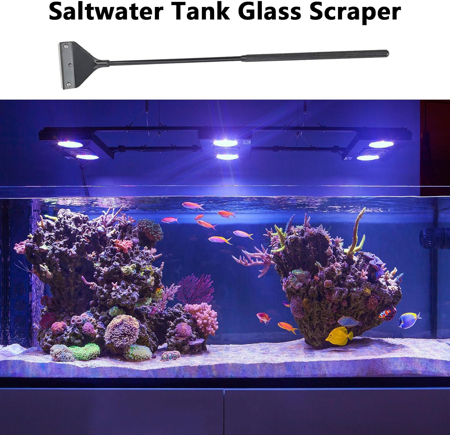 Aquarium Glass Cleaner and Algae Scraper for Fish Tanks, Compatible with Saltwater and Freshwater Aquariums, 10 Stainless Steel Blade with Plastic Cover - Leralsta image number 2