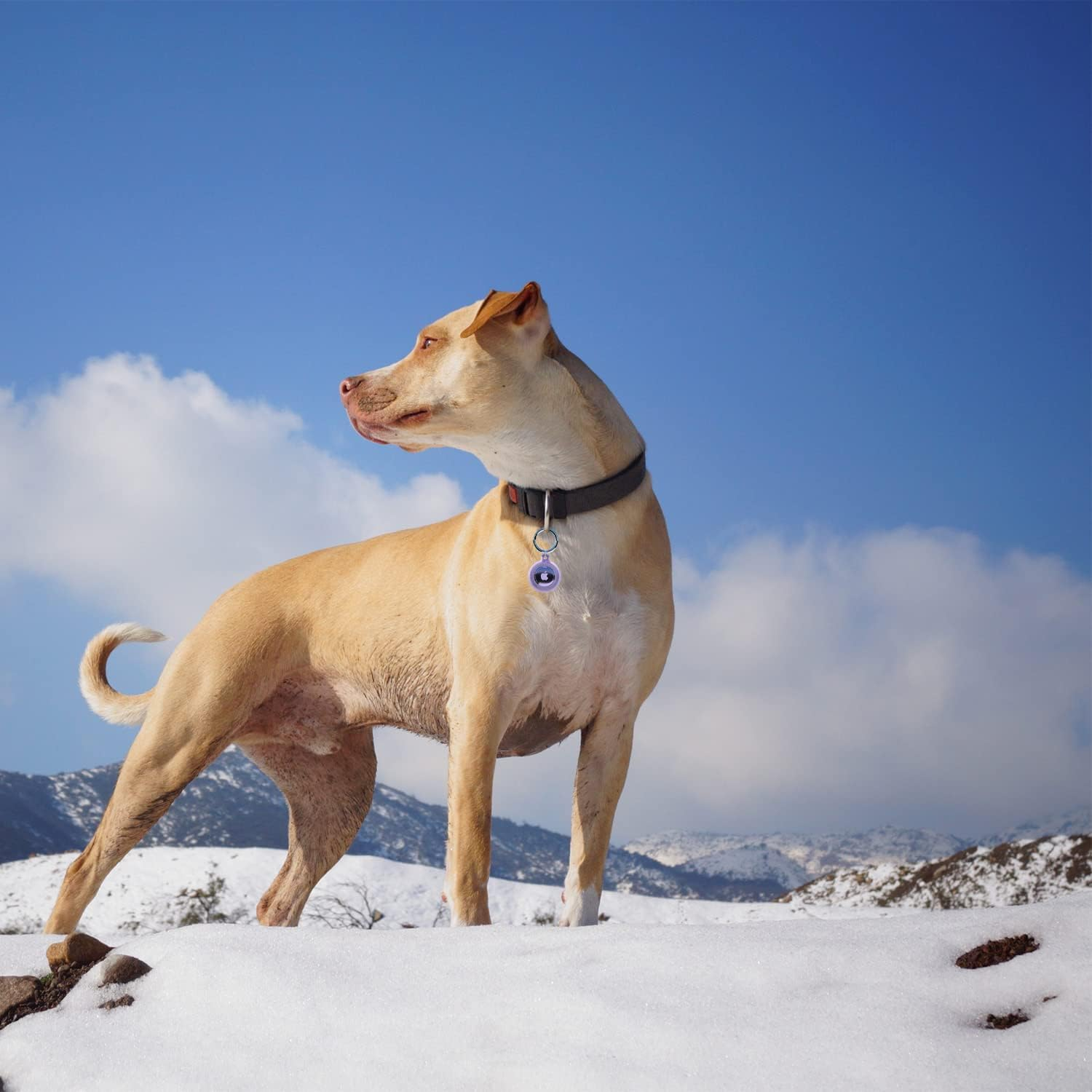 Airtag Keychain Holder (4 Pack) for Apple Airtags Anti-Lost Air Tag Holder Case Compatible with Car Keys Luggage Dog Collar - 4*Black image number 2