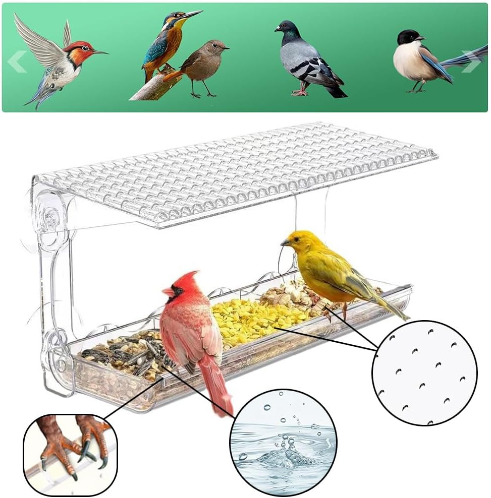 Window Sparrow Feeder with Strong Suction Cups, Transparent Bird House Outside, Hanging Small Animal Bowl for Garden, Yard, Elderly Kids Viewing image number 6