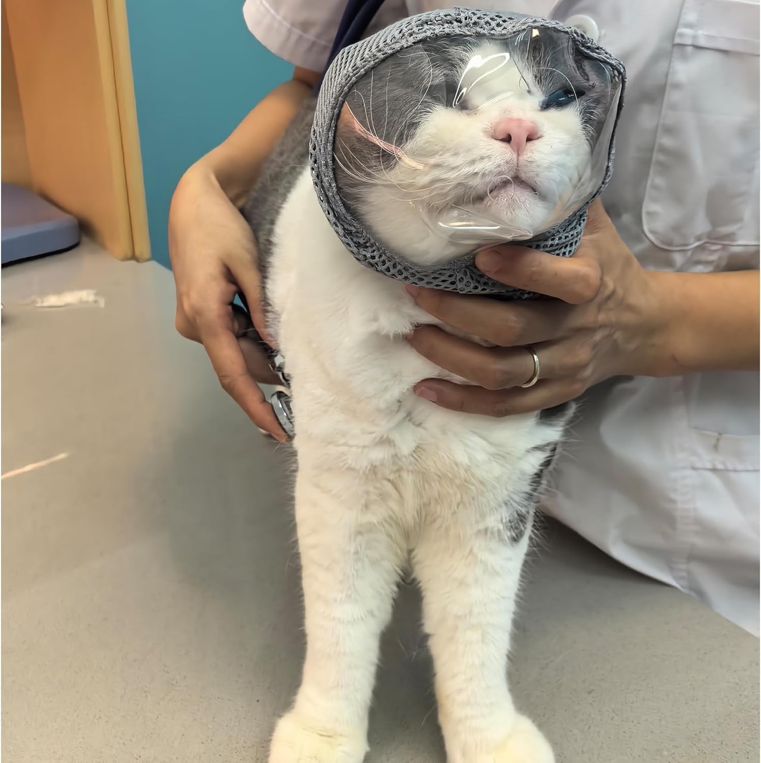 Quhoxdye Cat Muzzle, anti Bite Mesh Muzzle for Kittens, Breathable Grooming Helmet Mask for Nail Trimming for Prevent Biting Chewing, Cats Grooming Nail Trimming Bathing Pet Supplies (Grey, Medium) image number 1