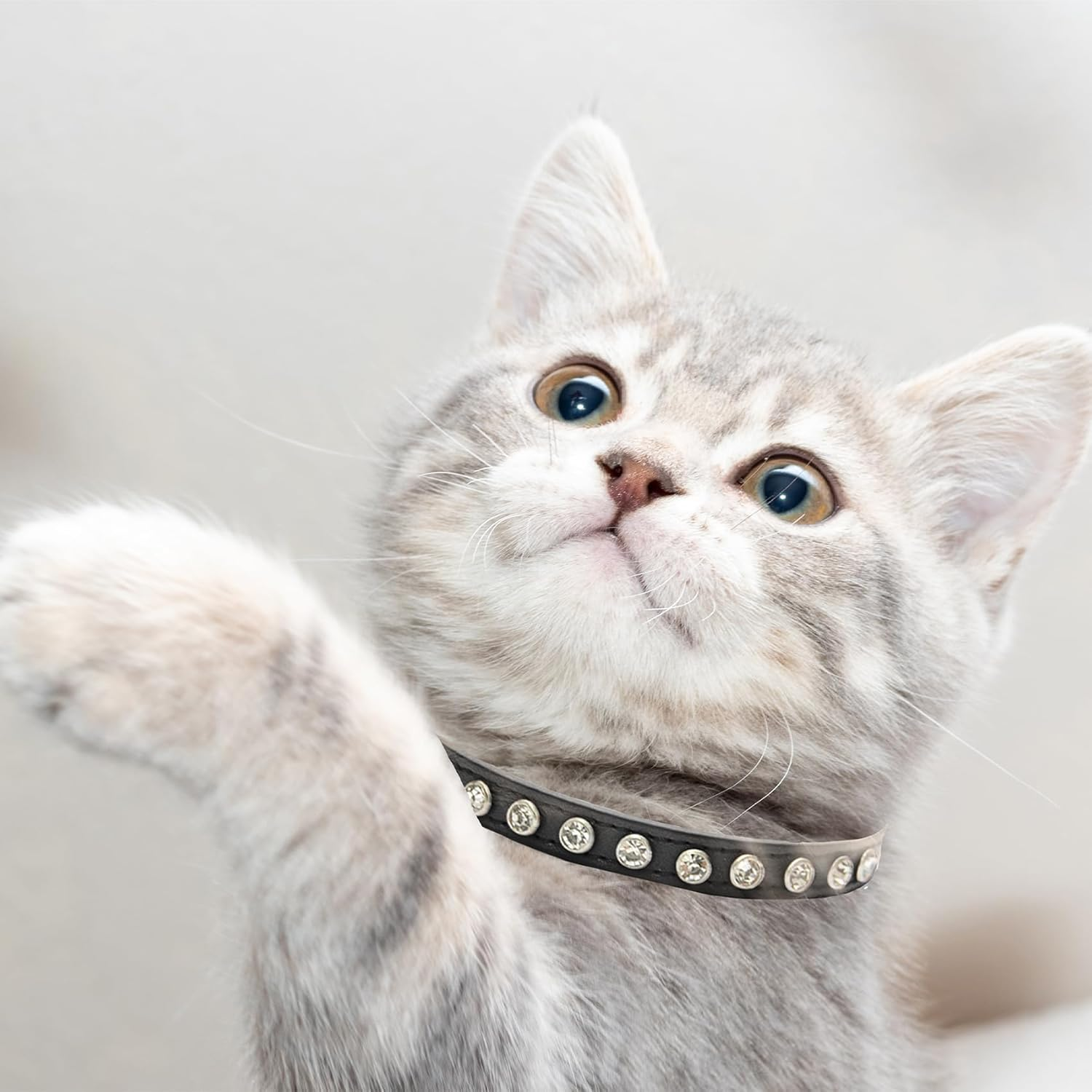 2 Pack Cat Collars with Bells, Rhinestones Leather Cat Collar with Elastic Strap, Kitten Collar, Adjustable Diamond Cat Collar for Girl Boy, 7.5" - 11.5", Black and Green image number 5