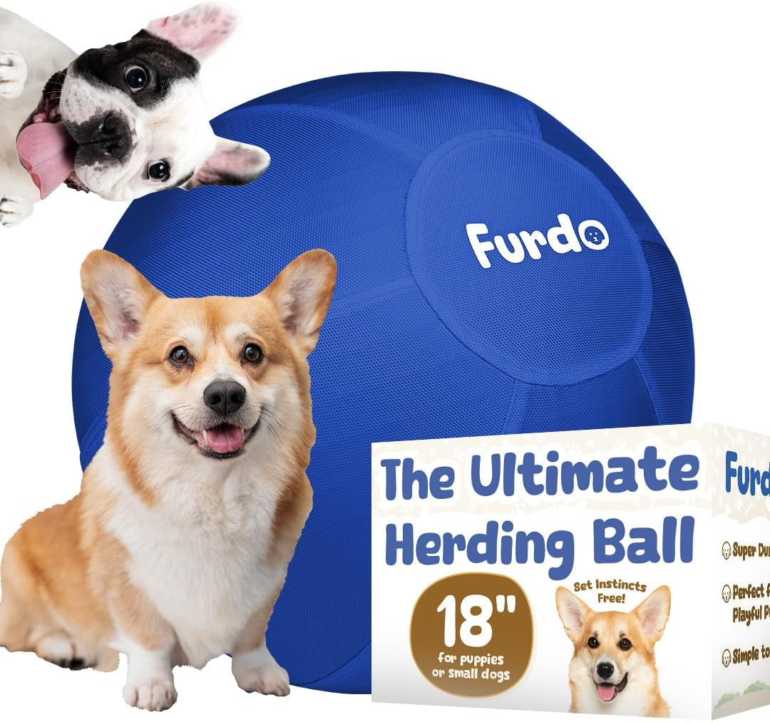Furdo Herding Ball for Dogs - Blue
