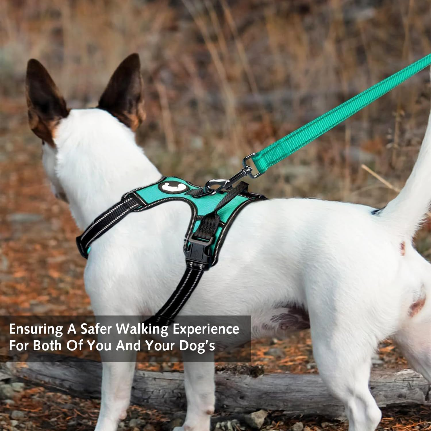 Padded Handle Dog Leash Double Sided Reflective Nylon Leash Training Leash for Small Medium Dogs image number 6