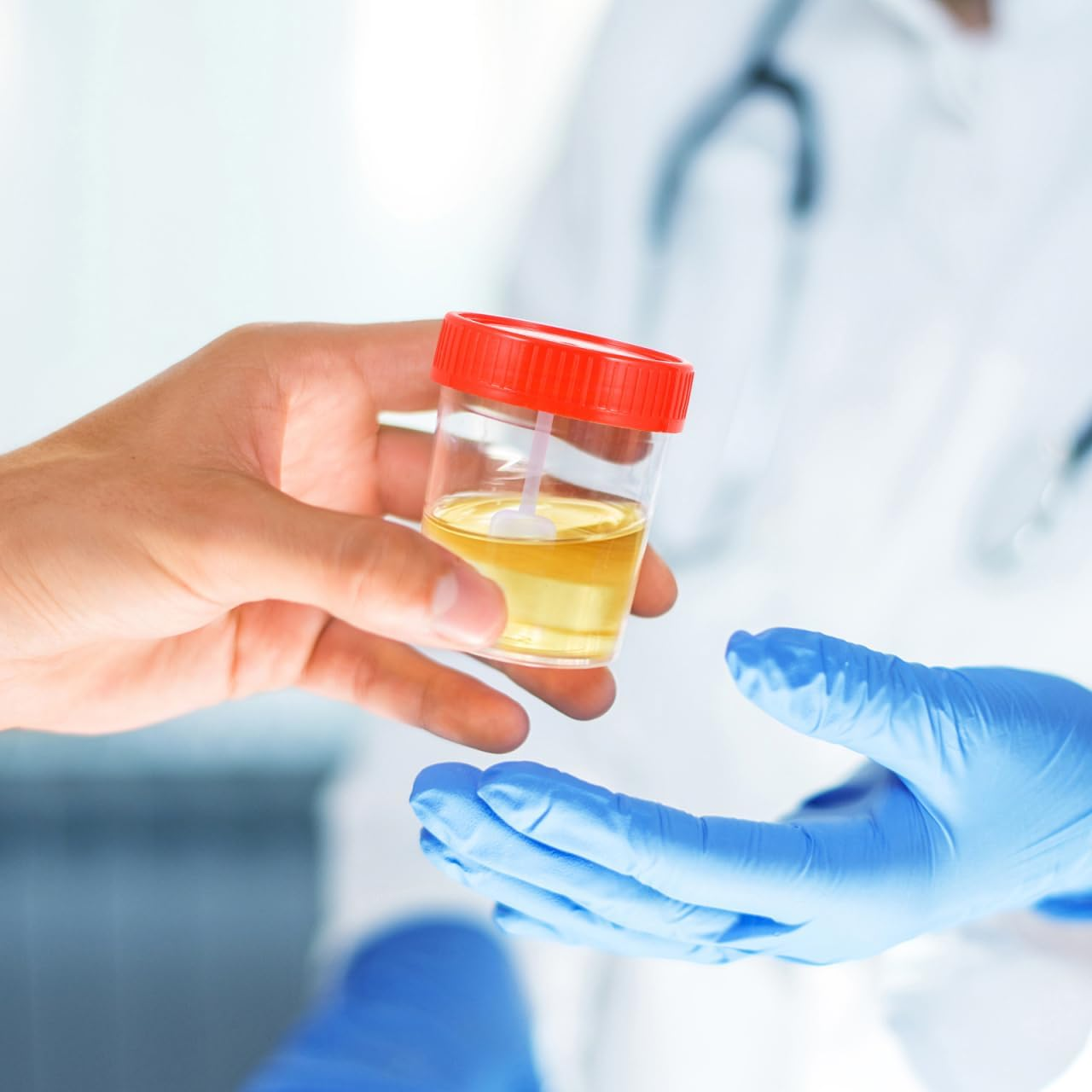 Gatuida Medical Use 10 Pack 60Ml Pee Sample Plastic Specimen Container for Testing image number 4