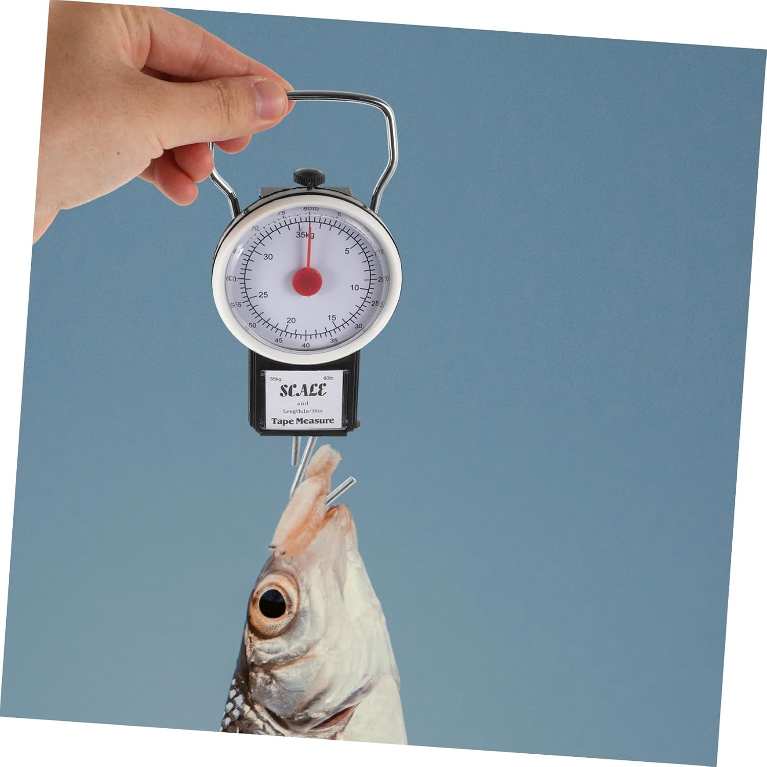 Ciieeo Portable Spring Luggage Scale Handheld Weight Scale for Travel and Fishing Compact Hook Design for Accurate the Go Weighing of Bags and Gear image number 2