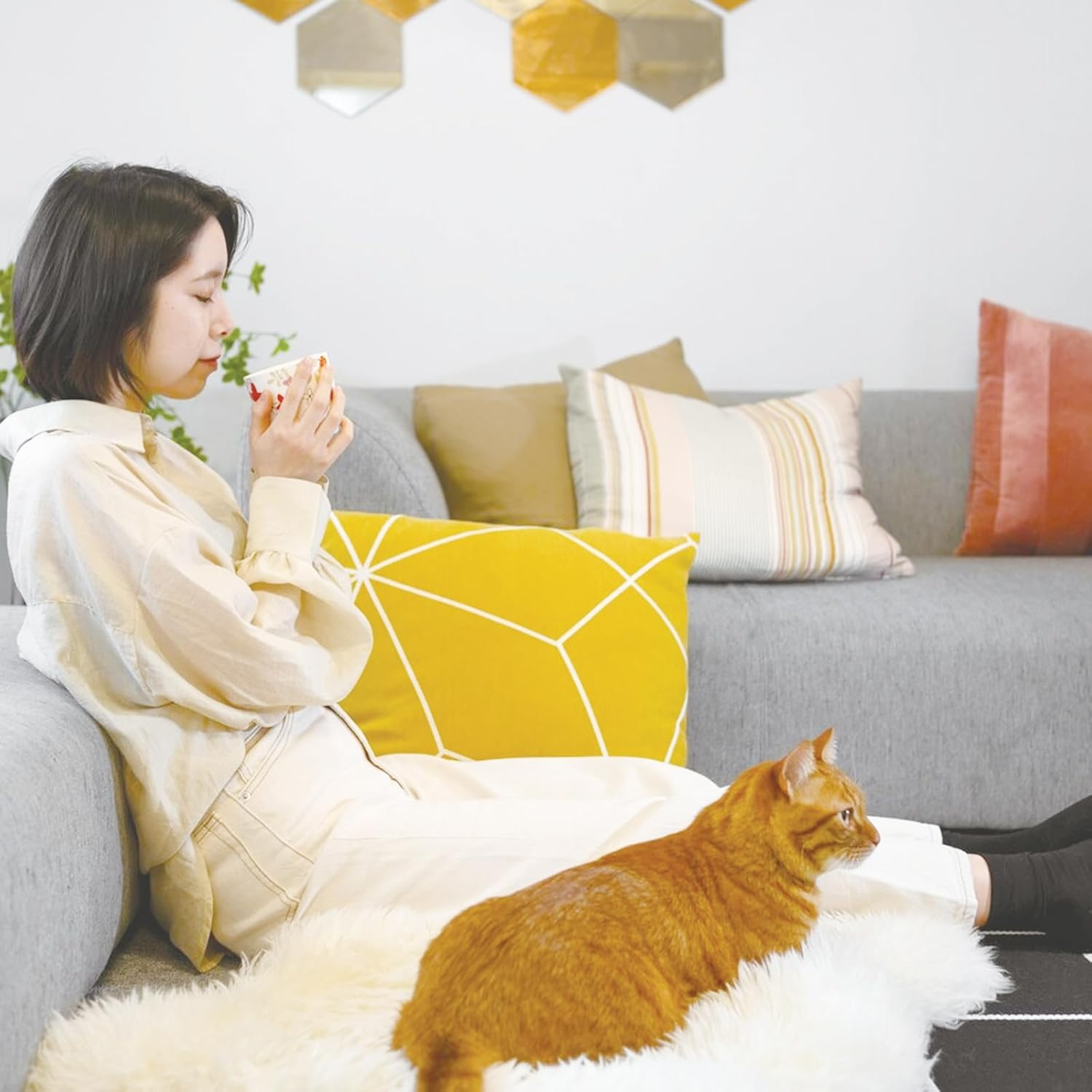 30 X 300 Cm Cat Scratch Protection Film, Scratch Protection Film, Sofa Cat with 20 Screws, Anti-Scratch Film for Cats, Wall Protection Film, Self-Adhesive, Film for Furniture, Sofa, Wall and Door