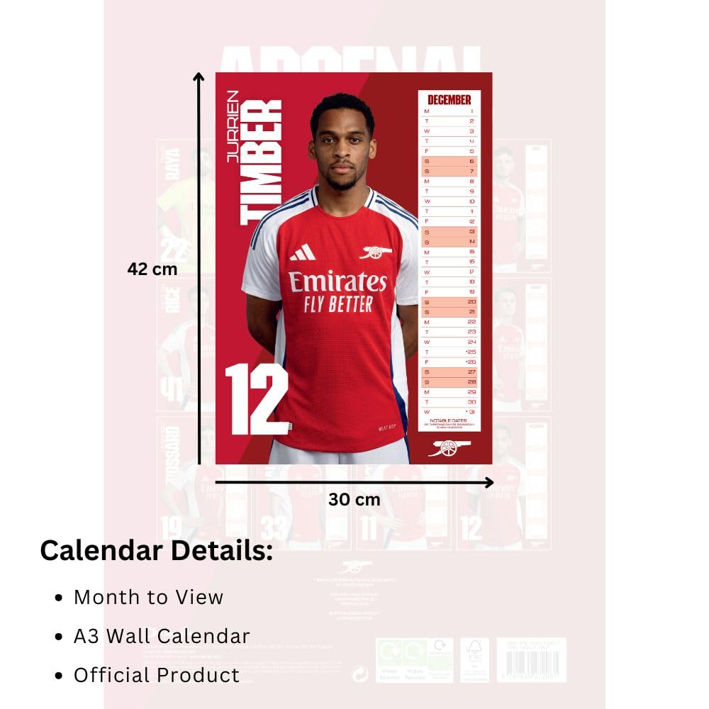 Official Arsenal FC A3 Calendar 2025 image number 6