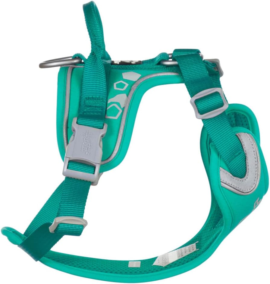 Hurtta Weekend Warrior Dog Harness for Medium Dogs, Peacock Turquoise, 45-60 Cm image number 2