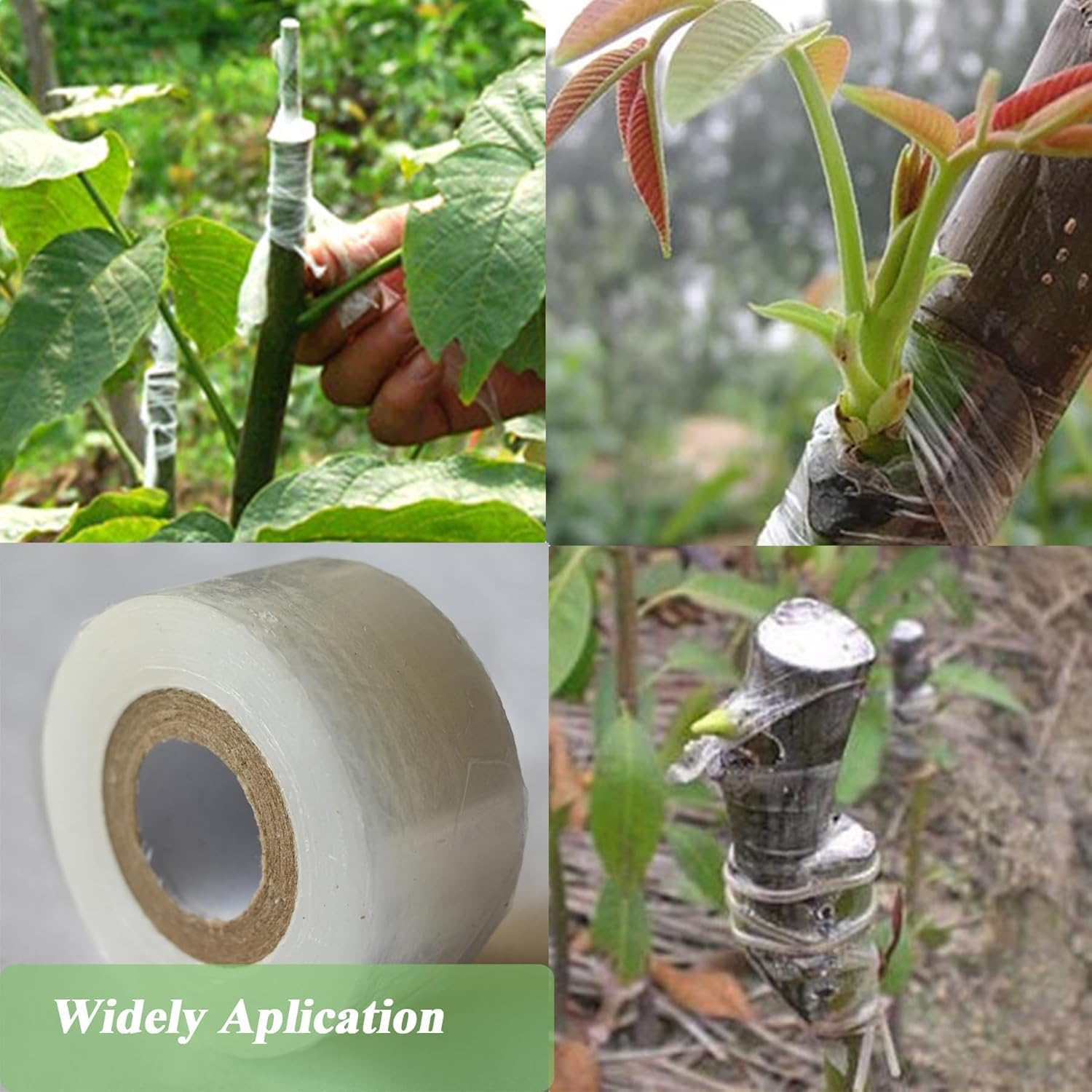 4 Pack Grafting Tape for Fruit Trees, 2 Color Stretchable Floristry Film, Plants Repair Tapes for Floral Fruit Tree and Poly Budding Tape - Green & White image number 1