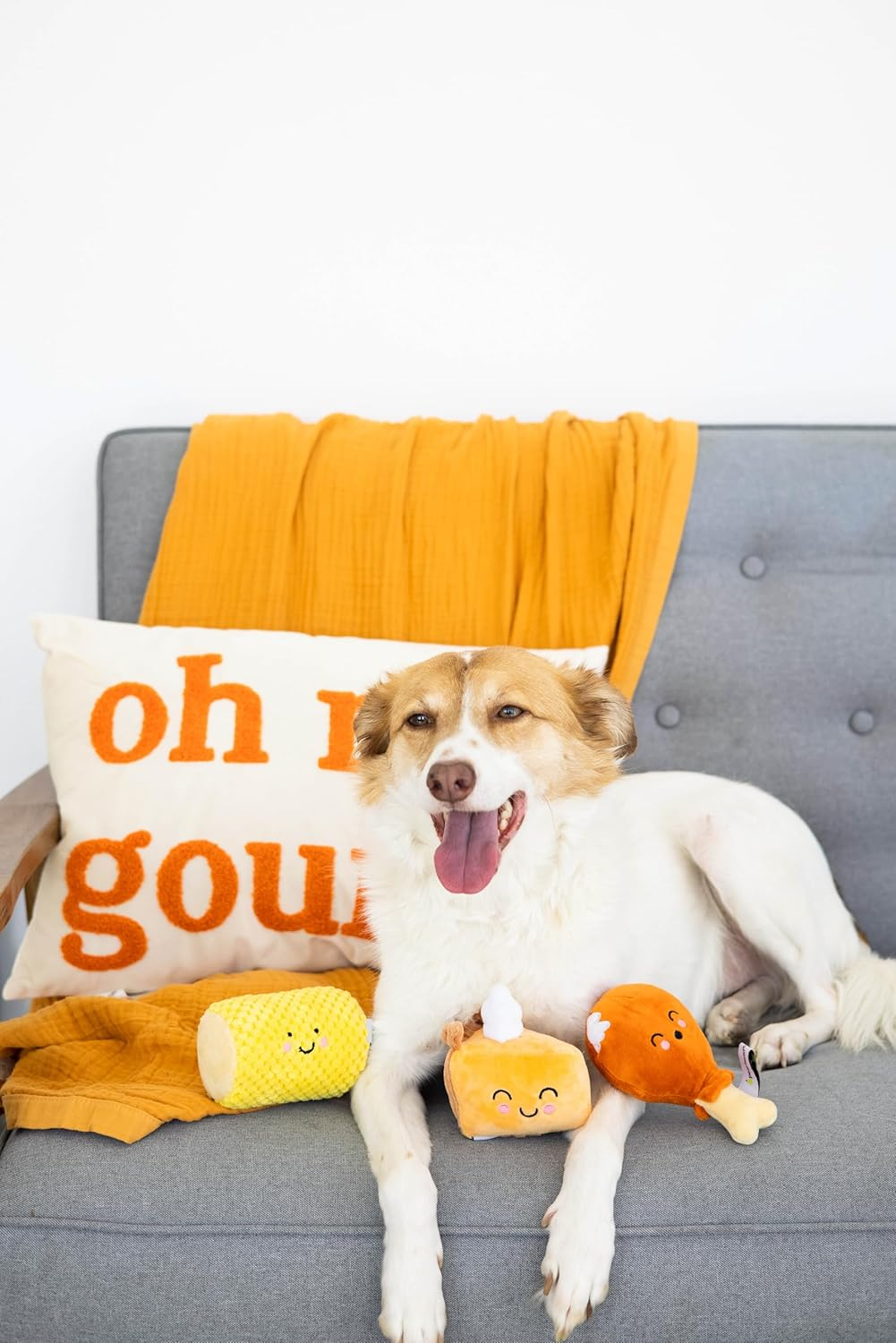 Pearhead Thanksgiving Dinner Dog Toys, Set of 3, Plush Dog Toys, Squeaky Dog Toy, Fall Pet Toys image number 3