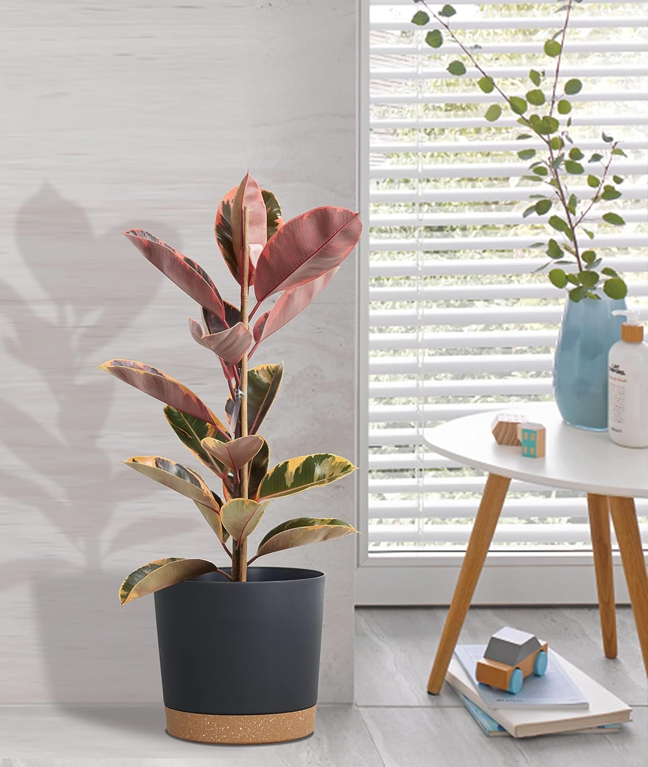 Plastic Flower Pots with Drainage Holes,Set of 3 Planters, Herb Pot with Saucer,Removable Base, round Plant Pot for Indoor and Balcony Succulent Cactus(Three Colors) image number 5