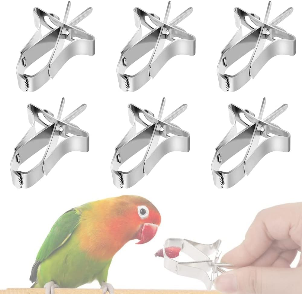 Stainless Steel Parrot Food Clips, 6 Pieces Stainless Steel Parrot Fruit and Vegetable Clips,Stainless Steel Feeder Bird Fruit Vegetable Clamps image number 2