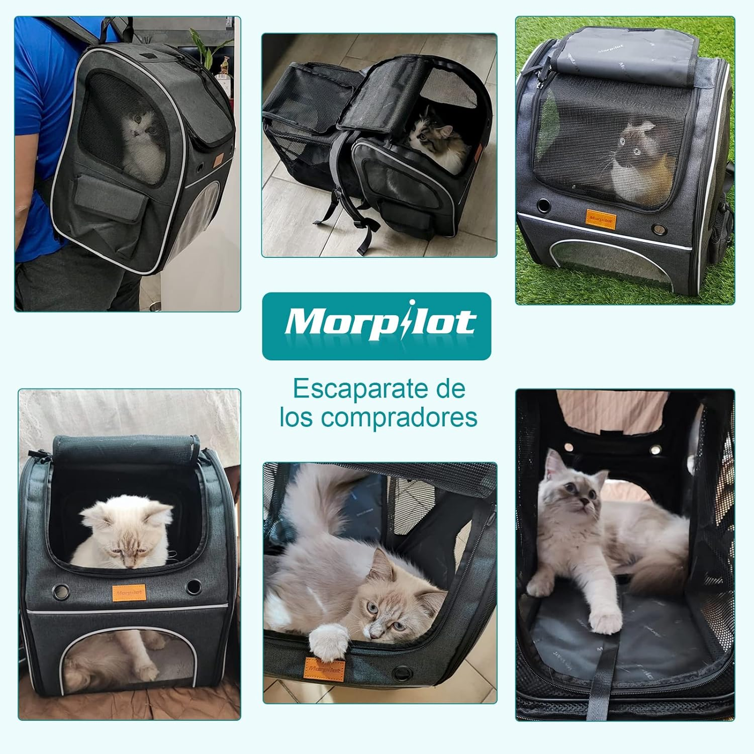 Pet Carrier Backpack, Morpilot Expandable and Foldable Cat Backpack with Breathable Mesh, Waterproof and Durable Dog Backpack for Cats and Small Dogs up to 8 Kg image number 3