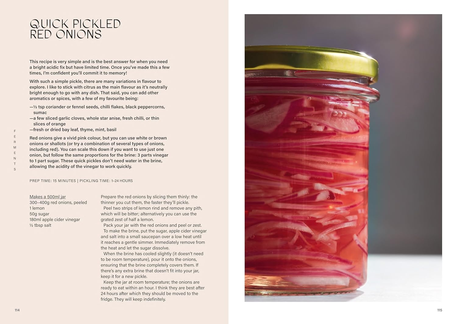 FERMENT FERMENT image number 2