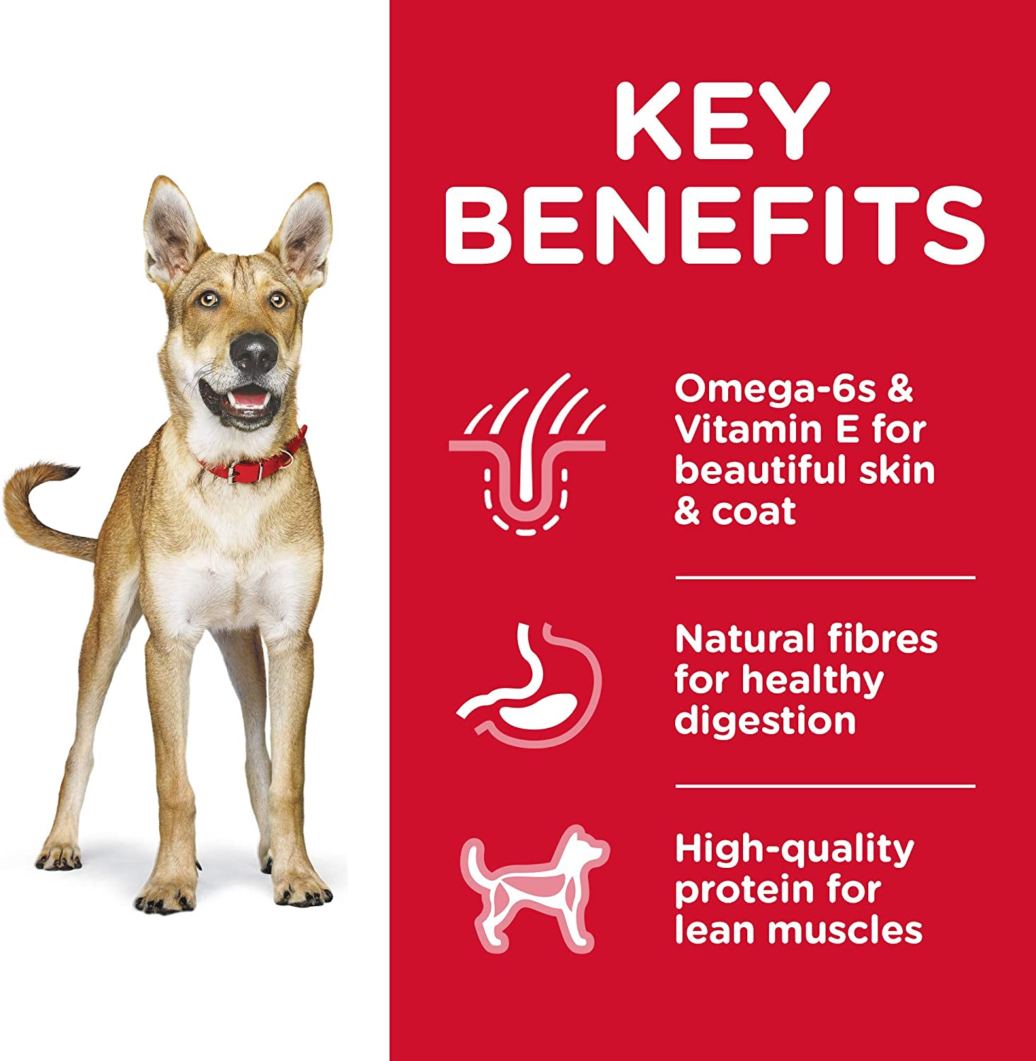 Hill'S Science Diet Adult Dry Dog Food 3Kg image number 2