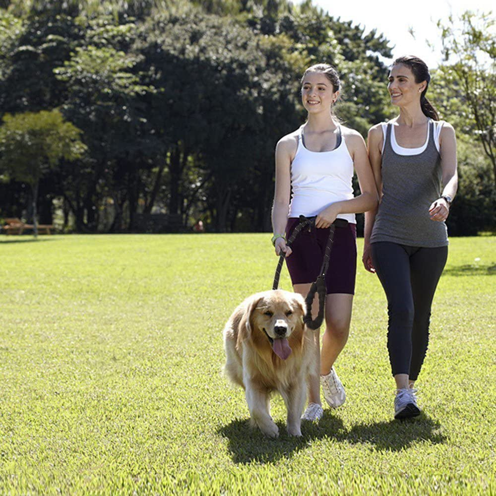 Dog Leash, 1/2 Inch X 6.56 Foot Strong Dog Leash with Comfortable Padded Handle and Highly Reflective Threads Large and Medium Breeds