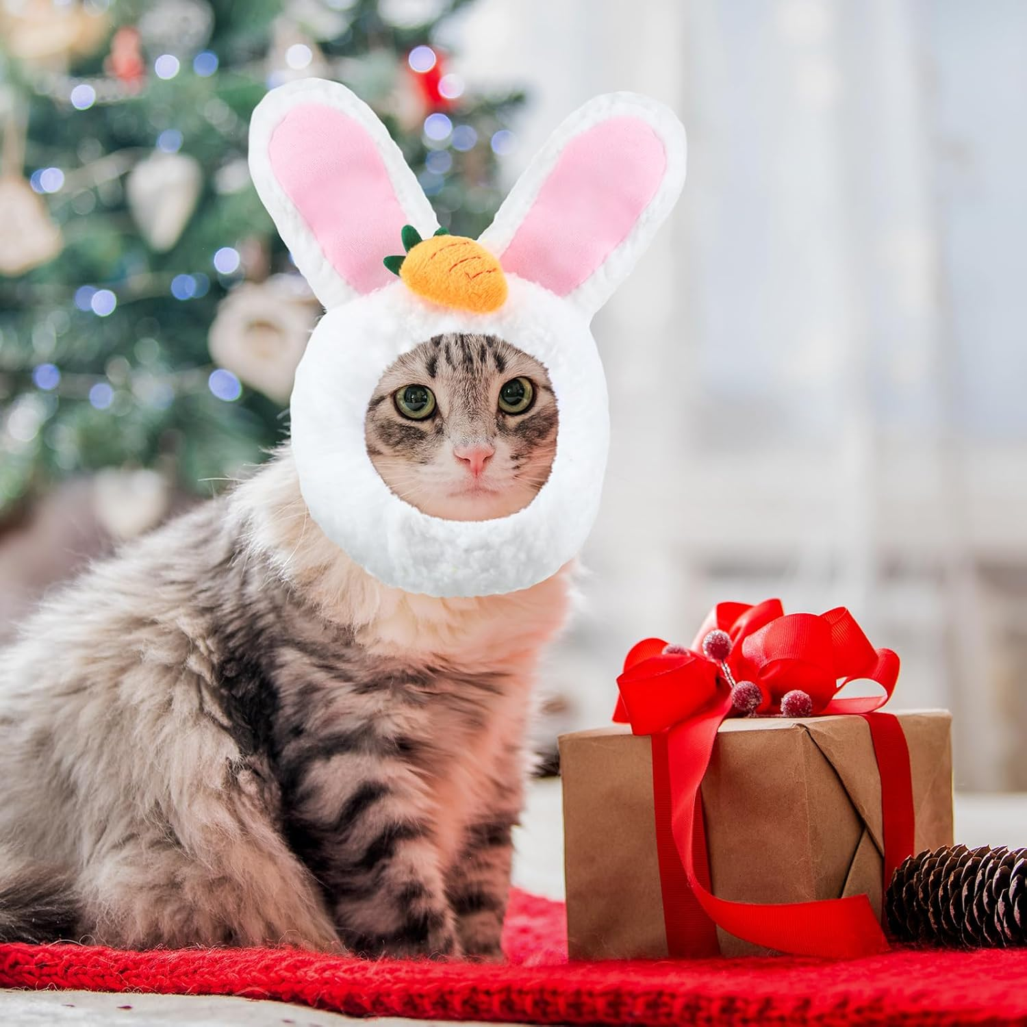 5 Pcs Cat Hat Adorable Costume Bunny Hat with Ears Funny Mane Cat Hat for Cats and Small Dogs Kitten Puppy Party Costume Accessory Headwear (Panda, Rabbit, Pineapple, Strawberry, Flower) - Avocado, Orange, Strawberry, Pineapple, Frog image number 5