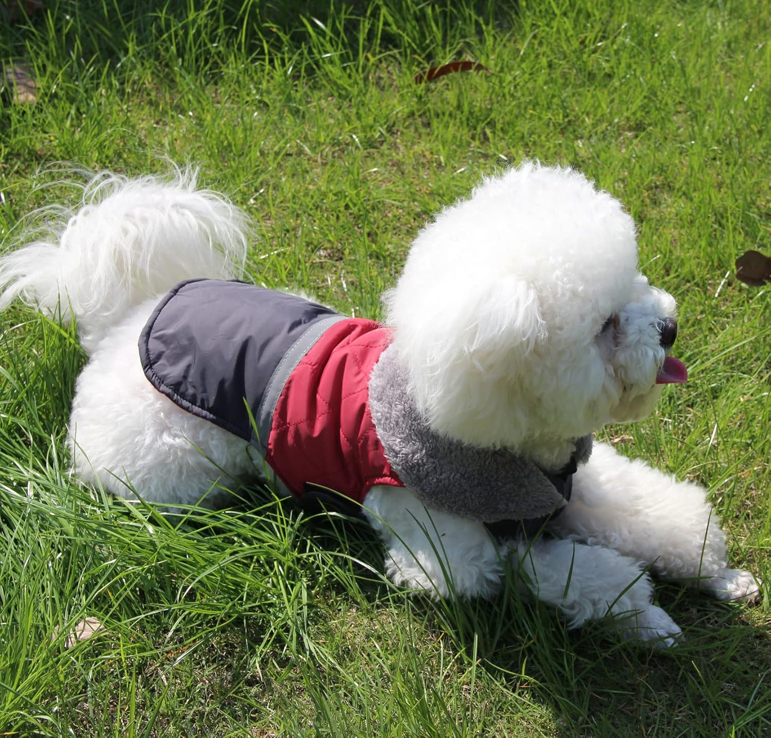 Joydaog Fleece Collar Reversible Dog Coats for Small Dogs Waterproof Warm Puppy Jacket for Cold Winter,Red XS image number 2