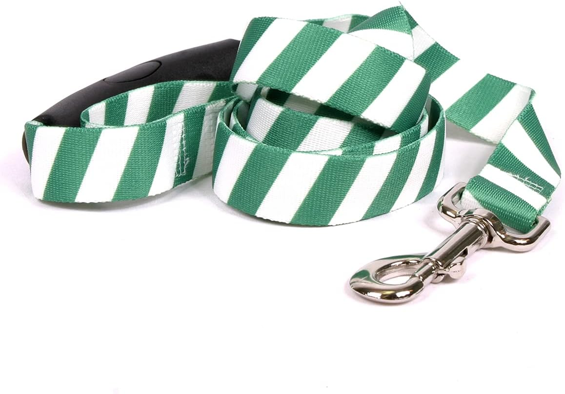 Yellow Dog Design Team Spirit Green and White Ez-Grip Dog Leash-With Comfort Handle-Large-1" and 5 Feet (60")