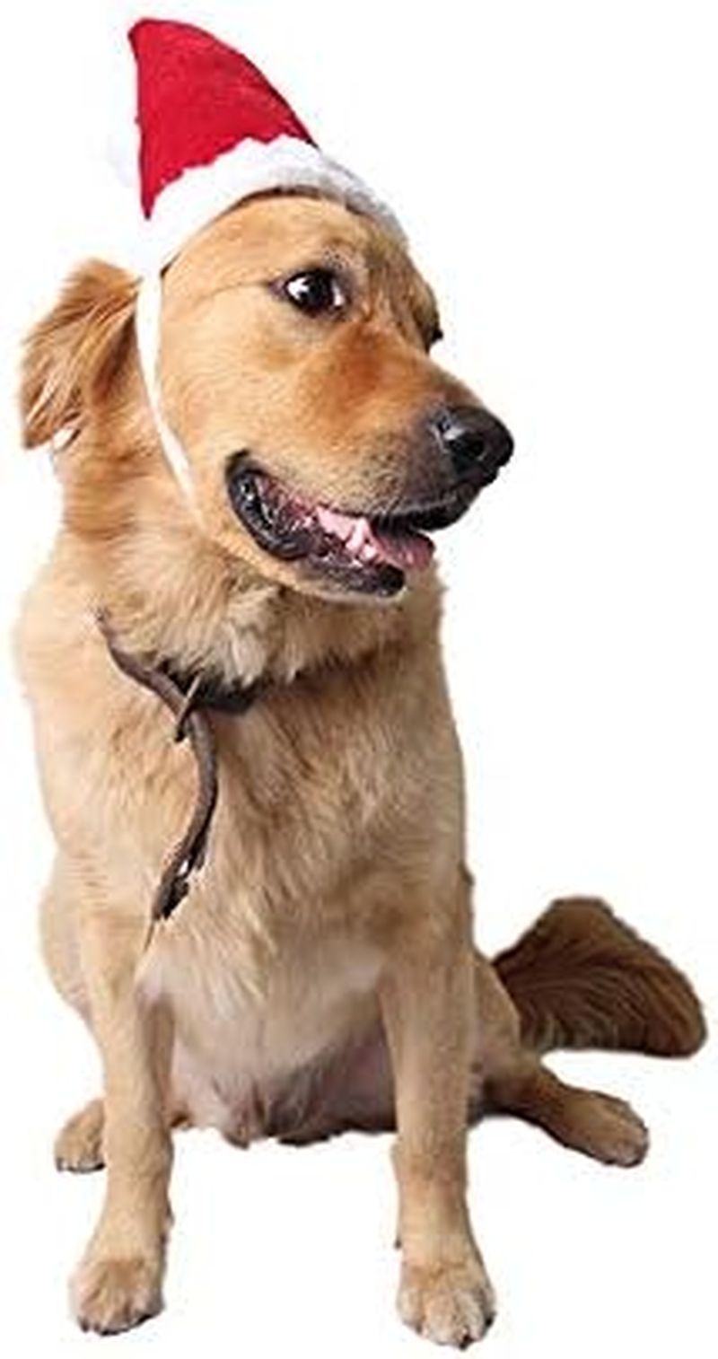 BT Bear&reg; Pet Christmas Costume,Dog Christmas Hat Pet Cat Christmas Santa Hat for Cats Puppy Small Dogs Medium Dogs Large Dogs (Large) image number 2