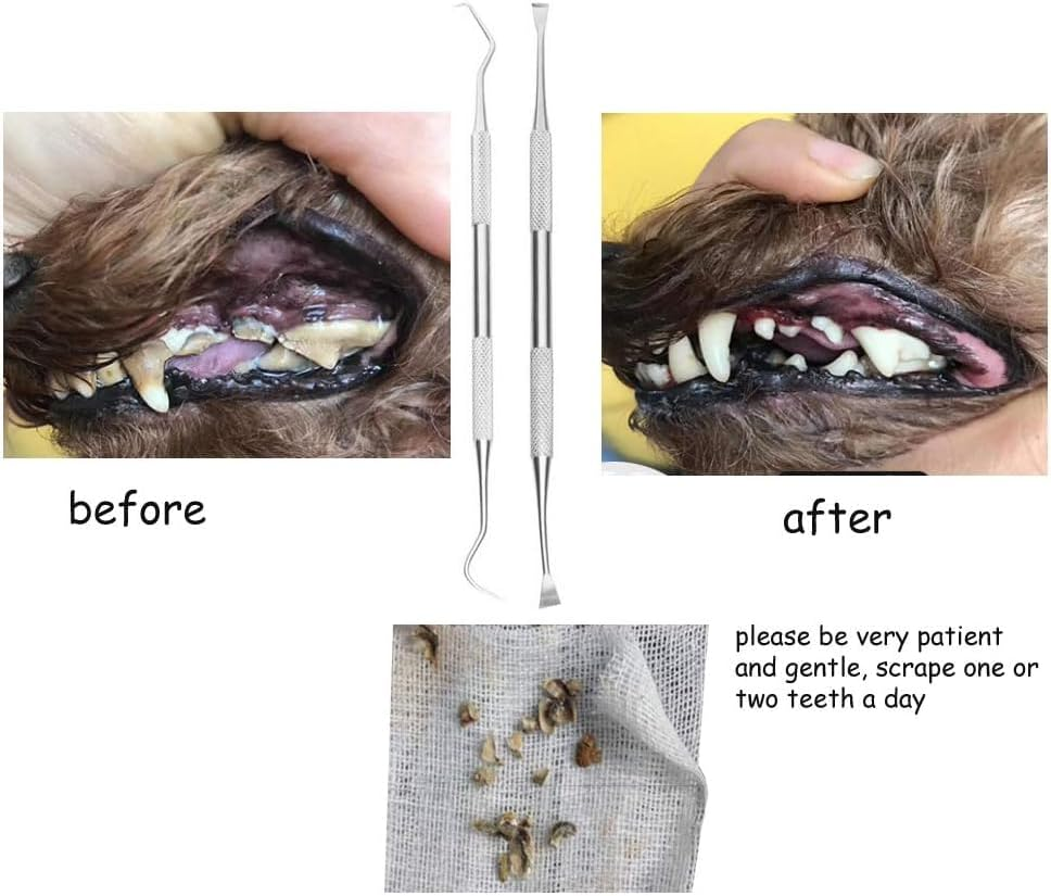 Dog Teeth Cleaning Tools Tarter Remover Canine Dental Scraper Scaler Tools Pet Tooth Cleaner Stainless Steel with Double Head (Style 1, One Size) - Style 3 image number 2