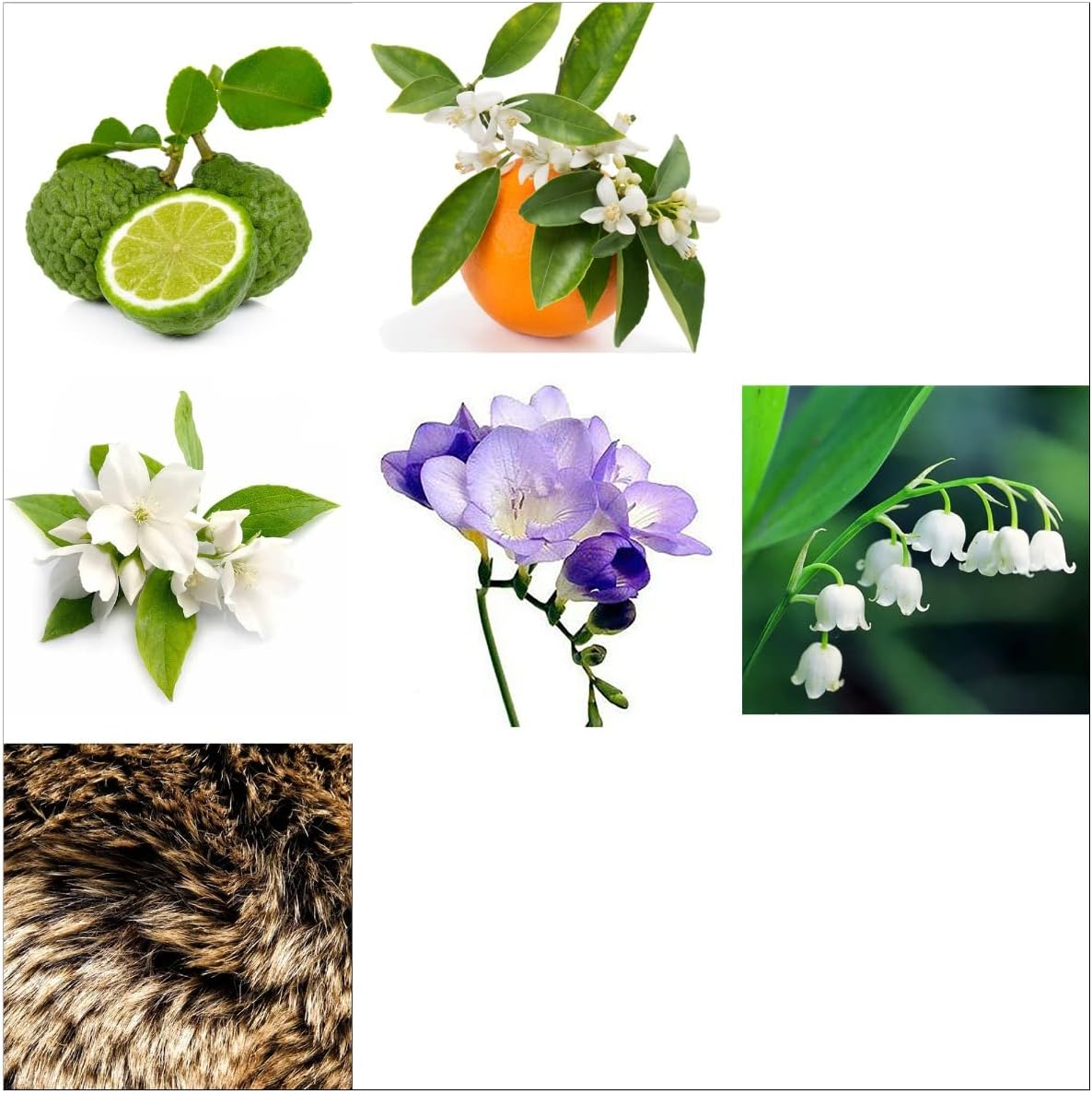 Rachel Zoe Instinct Gift Set 3 Ml image number 2